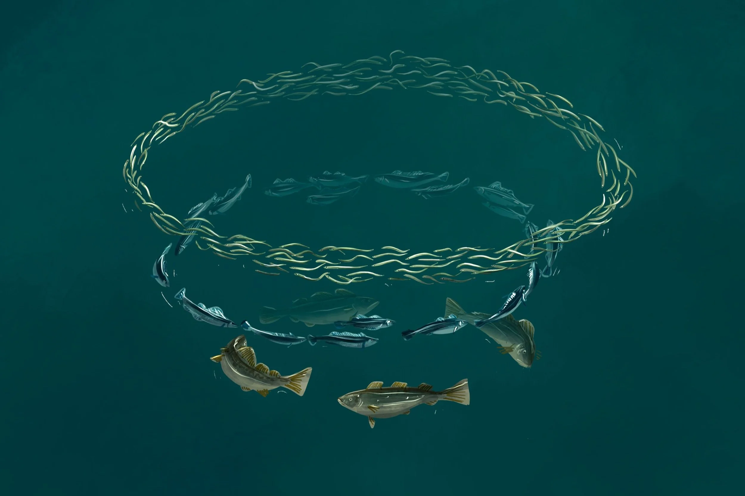 School of fish swimming in a circular pattern underwater