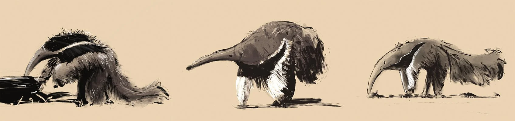 anteaters.jpg