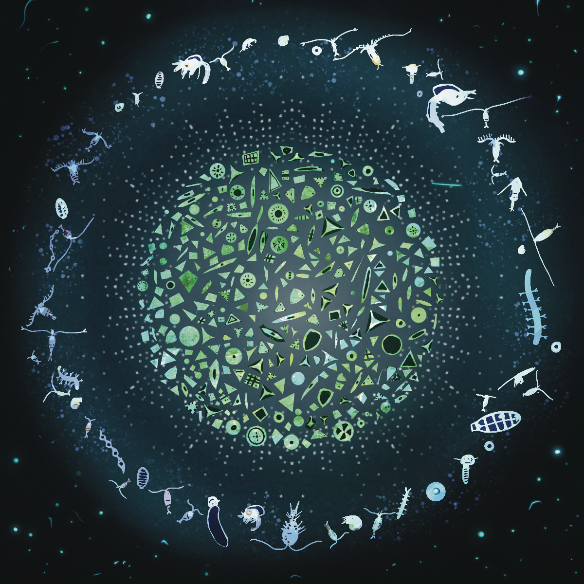 Untitled_Artwork 203.png