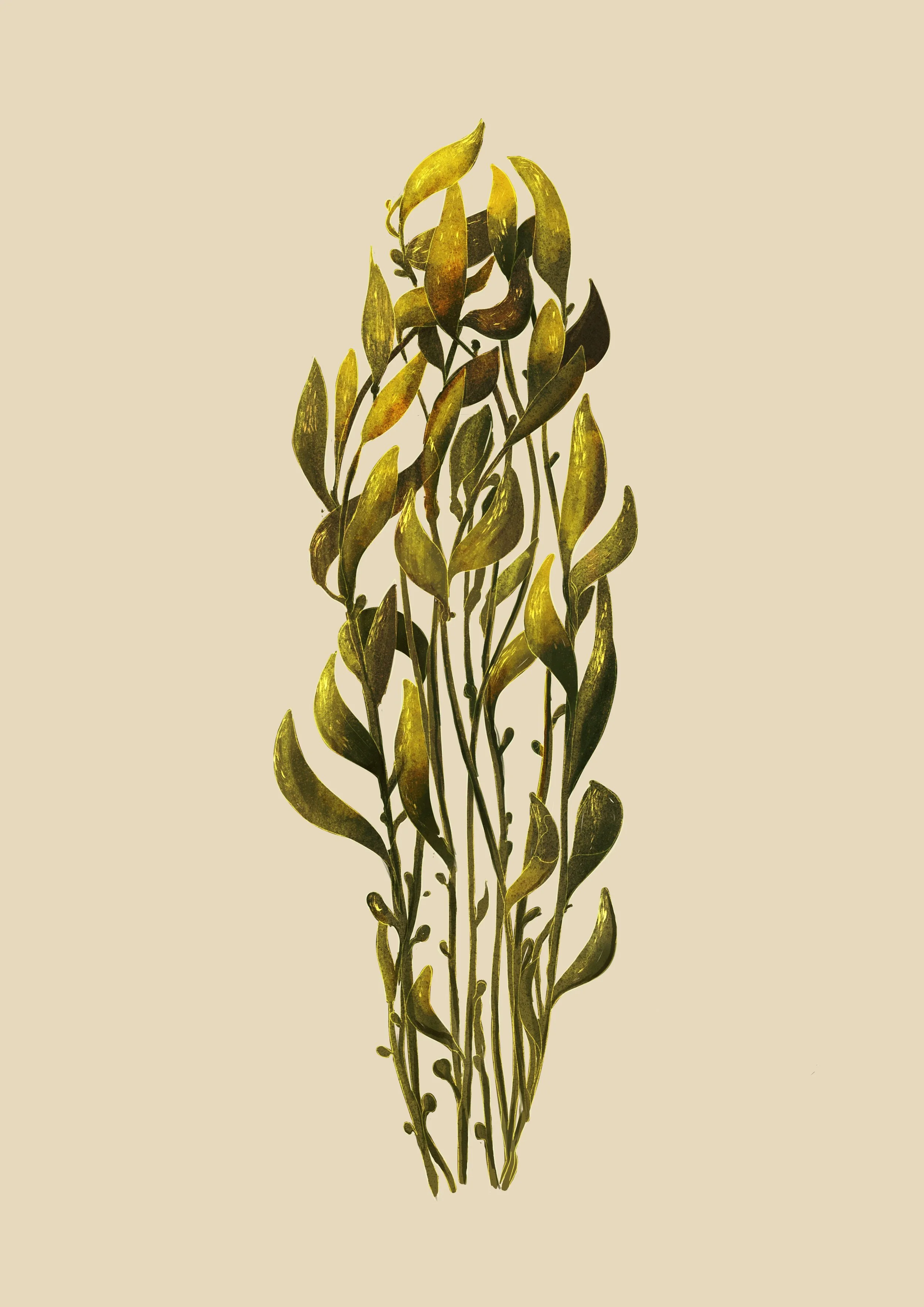 A bunch of green and yellow leaves on long, thin stems against a beige background.