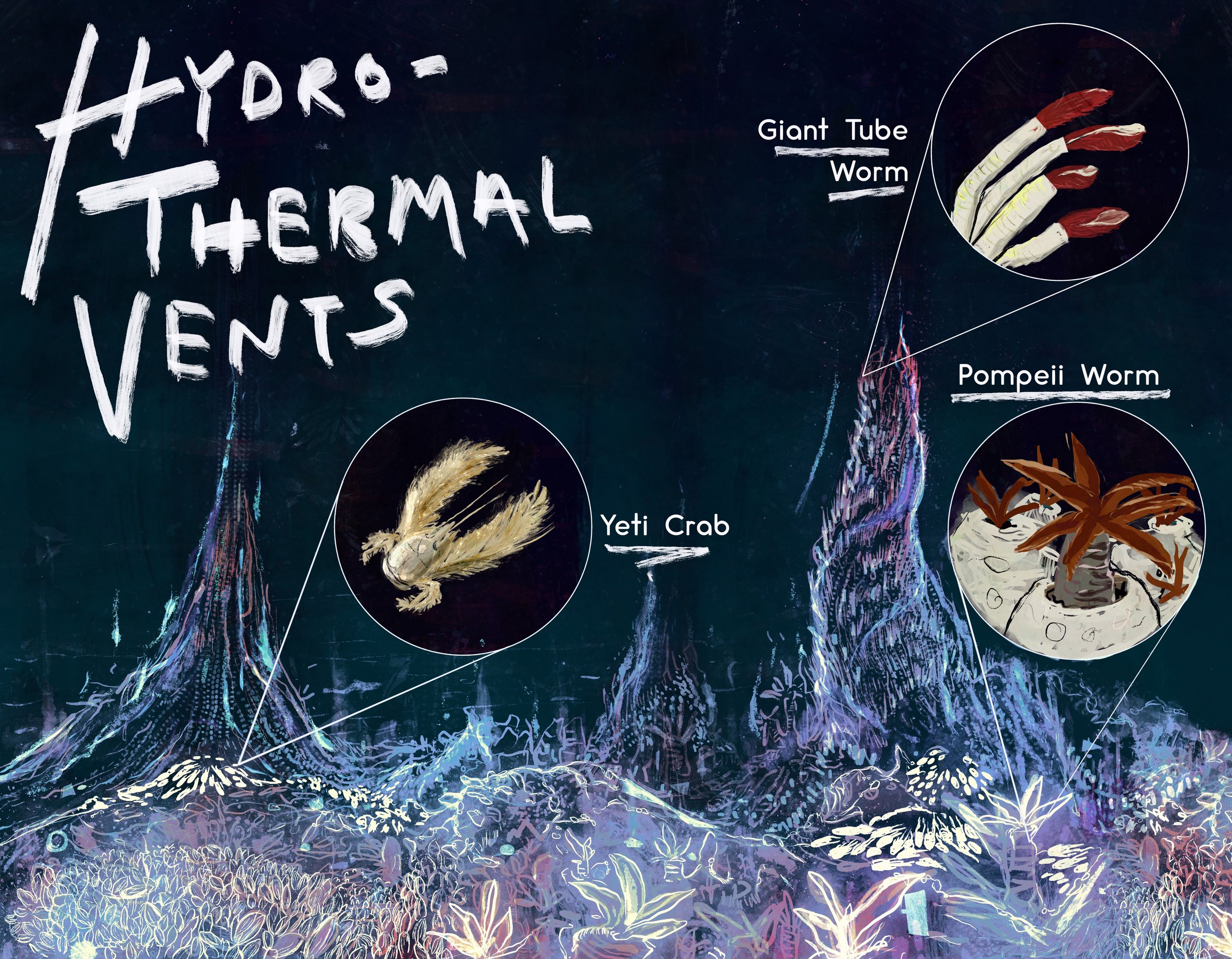 Illustration of hydrothermal vents with labeled animals: giant tube worm, Pompeii worm, Yeti crab.