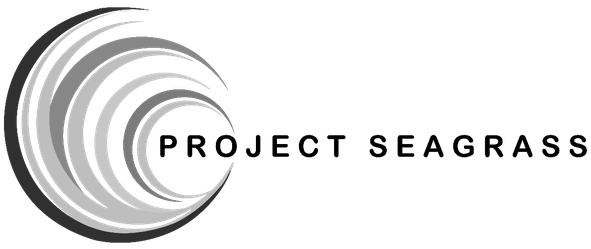 Graphic of a stylized crescent moon with layered curved lines and the text 'Moon Phases' next to it.