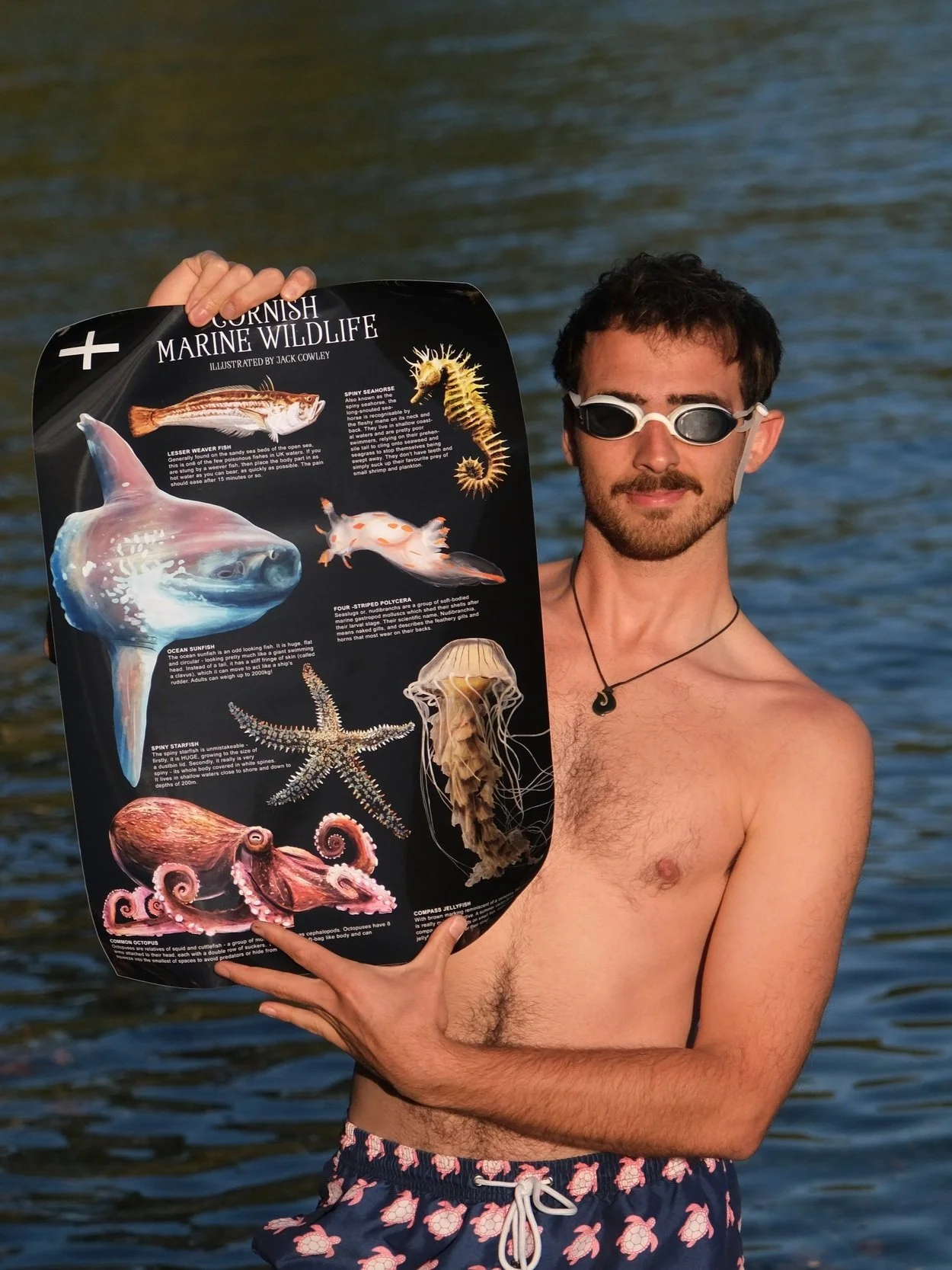 Cornish Marine Wildlife Poster -

I created a poster celebrating a selection of interesting and charismatic species found in Cornish Waters.