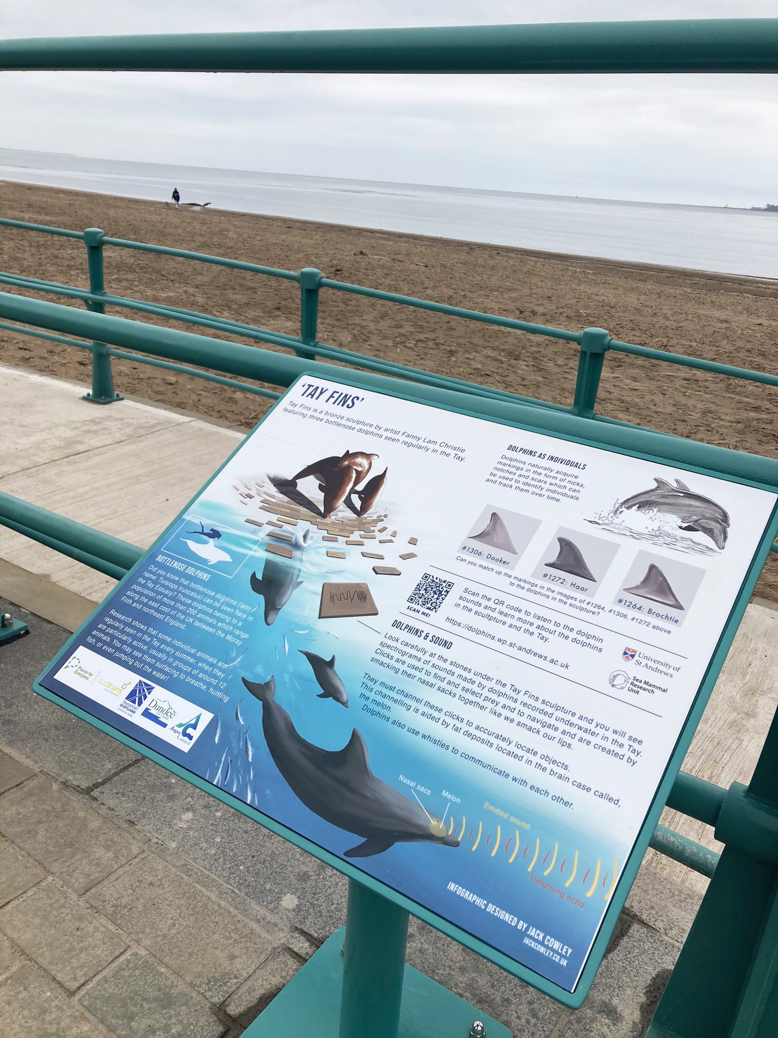 Tay Fins | University of St Andrews -

This information board accompanies a bronze sculptureof three dolphins at a whale watching spot along an estuary in Scotland. The sign educates folk on dolphin communication and the research that is occurring in