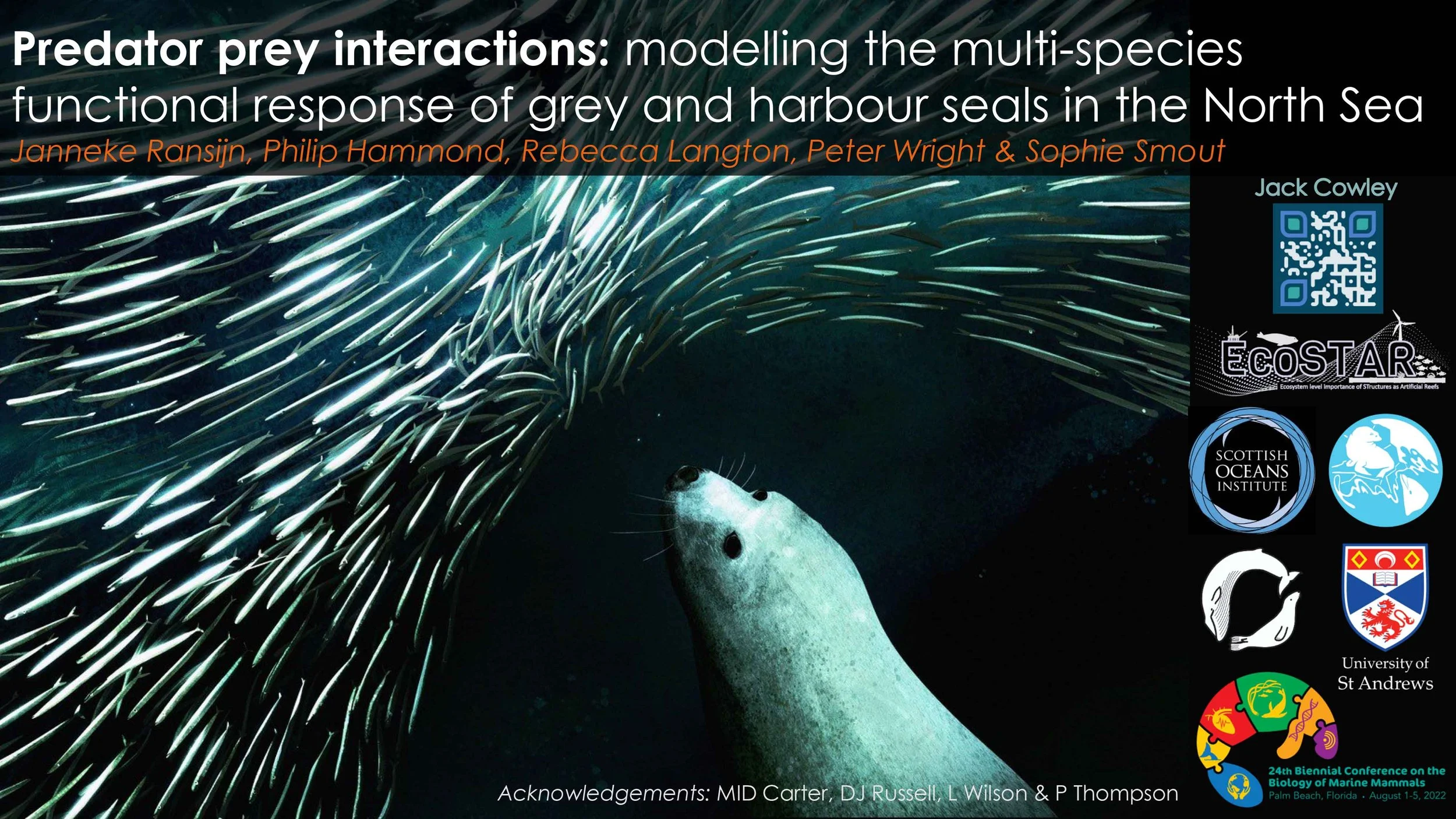 Underwater image showing a grey harbour seal swimming near a large school of fish, with the school forming an arc above the seal.
