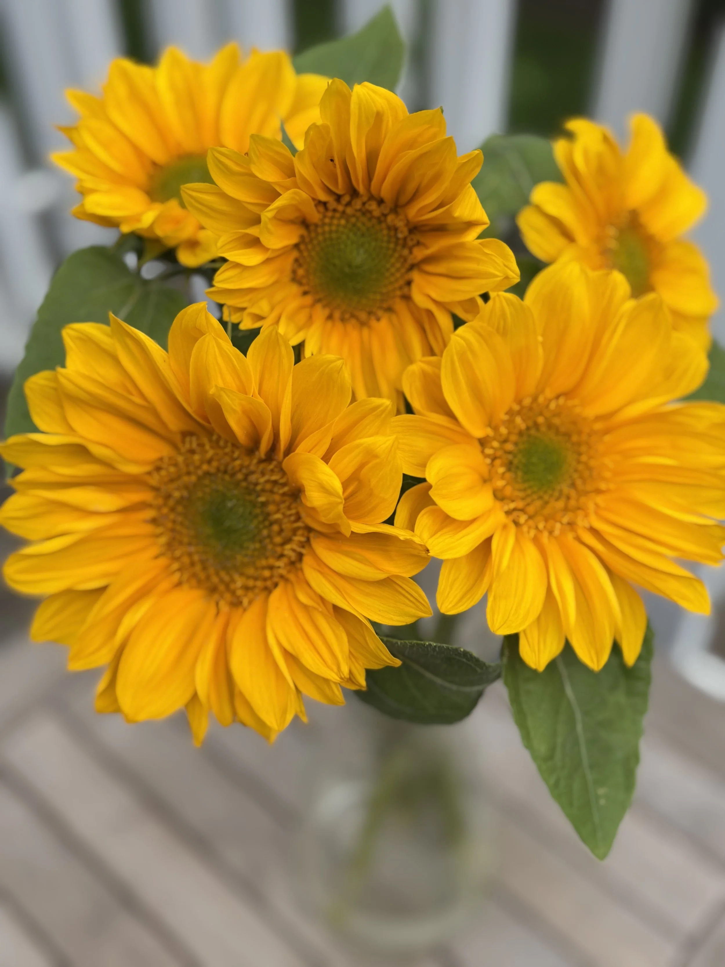 Seasonal Flower Bouquet - Summer Sunflowers