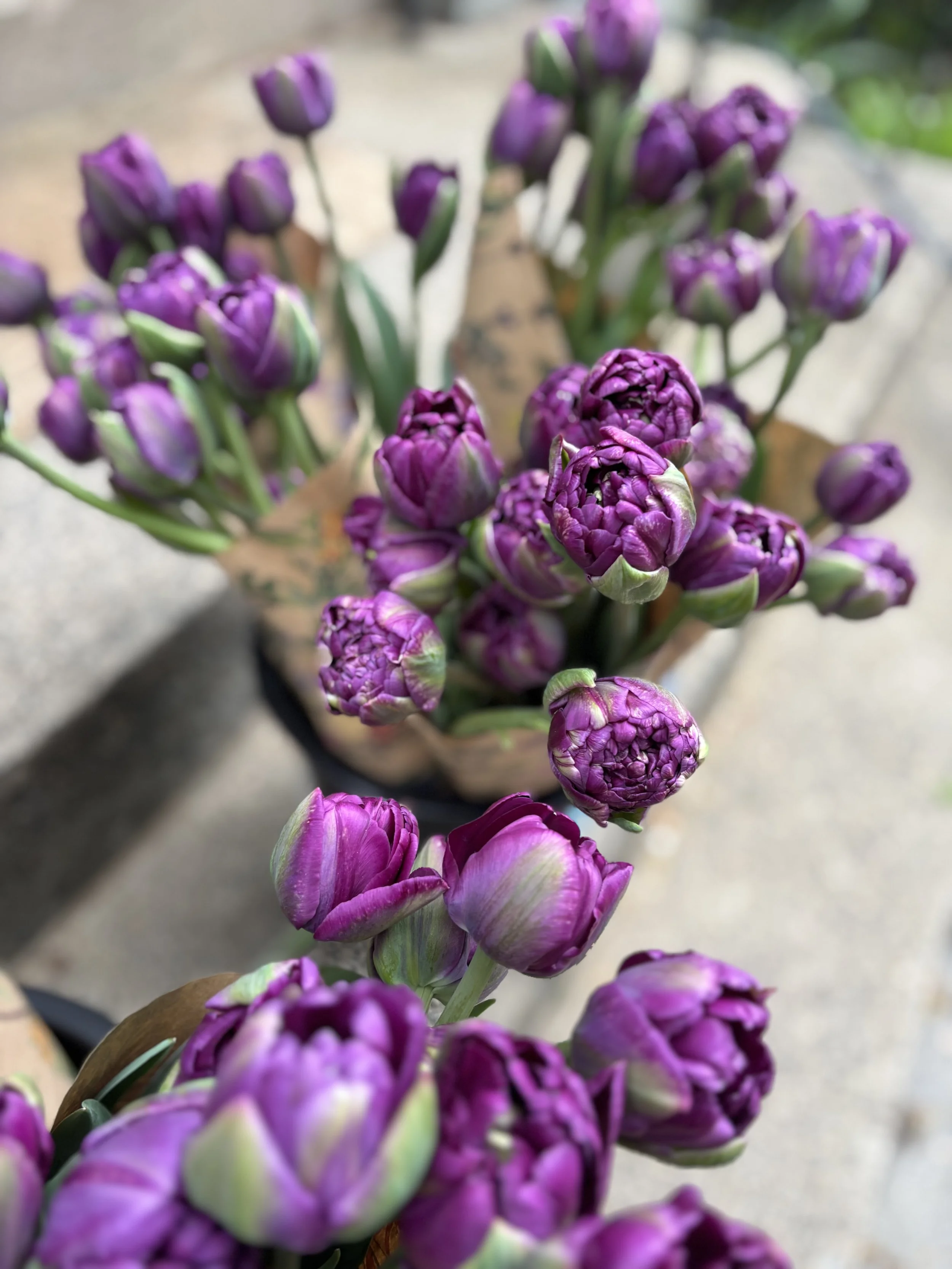 IMG_0183.jpeg