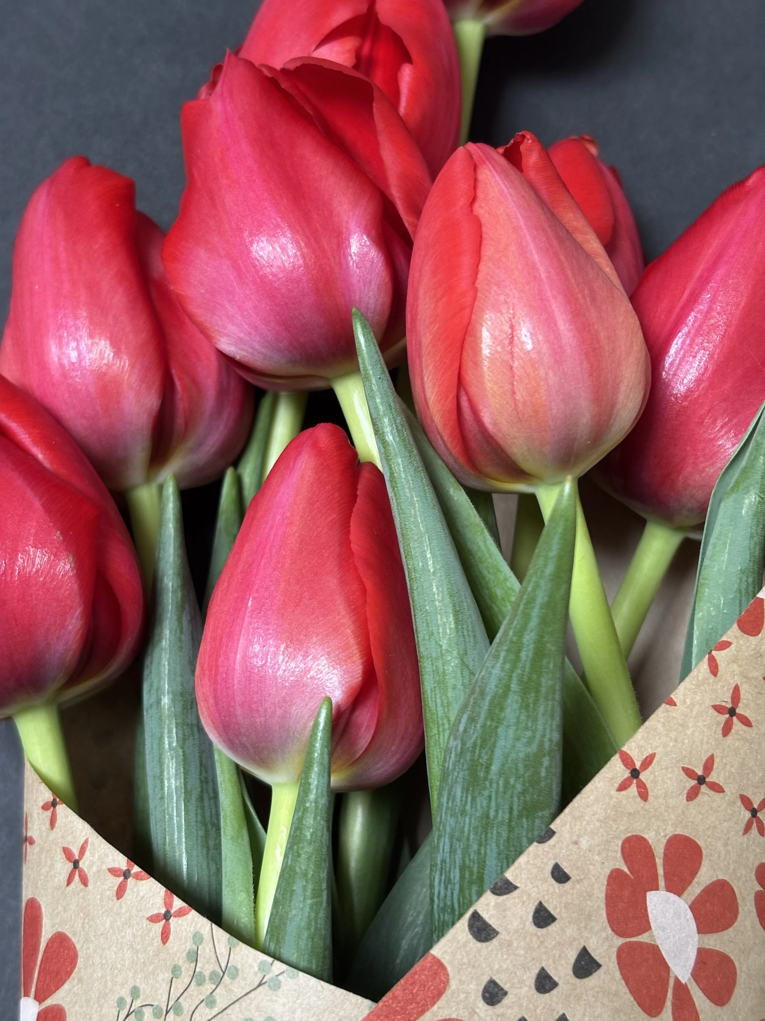 IMG_2080.jpeg (Copy)