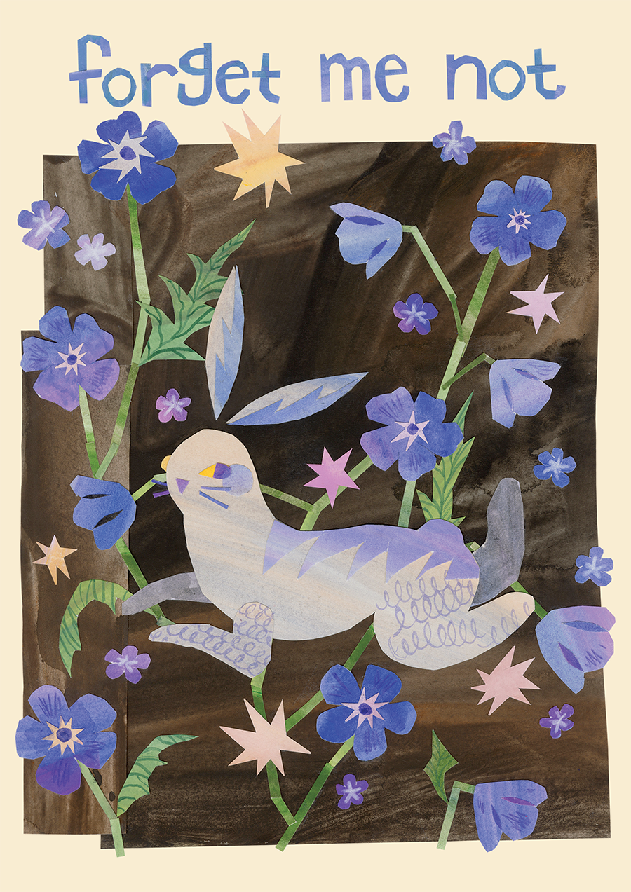 Aster Sakalauskaite