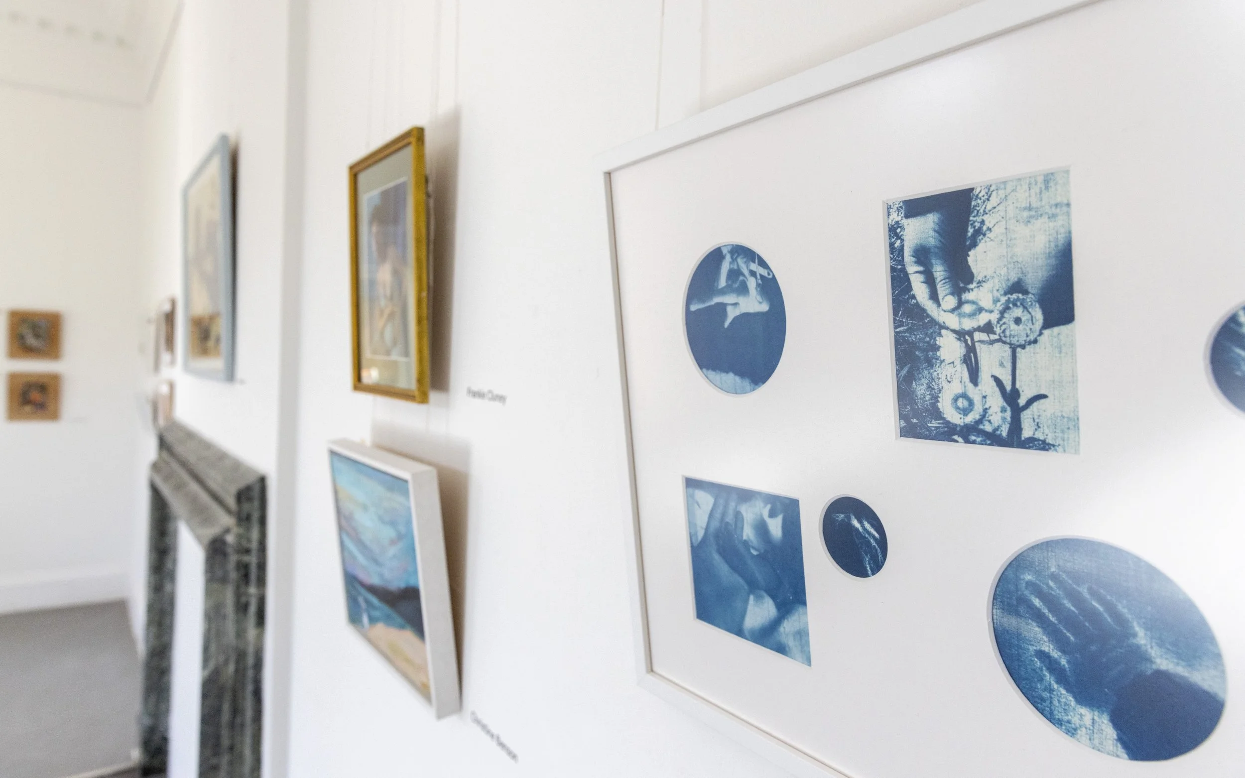 Framed cyanotype images on a white wall.
