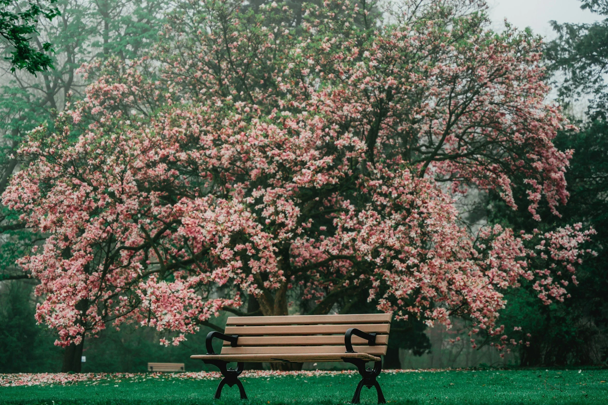 The Science of Stress: How It Impacts Hormones and Mood