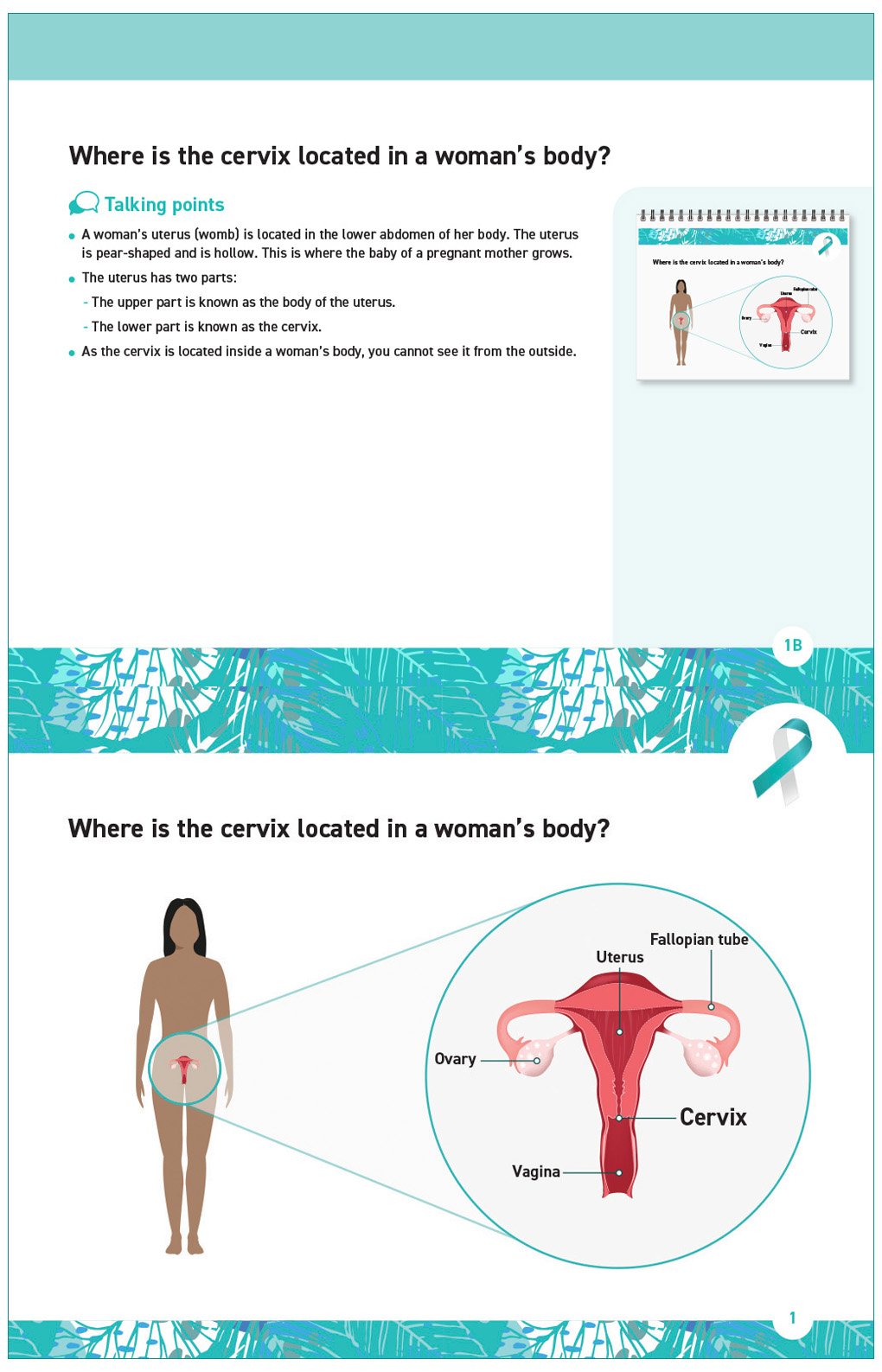 Cervical Cancer Flip Chart