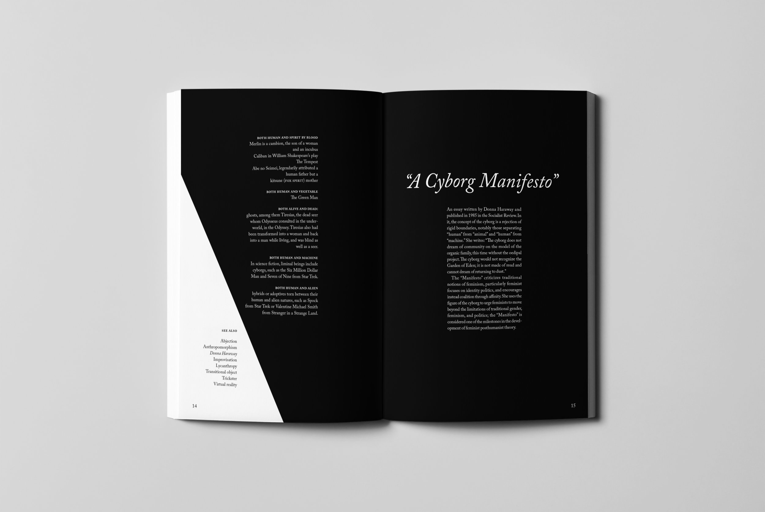 a_cyborg_manifesto_spread.jpg