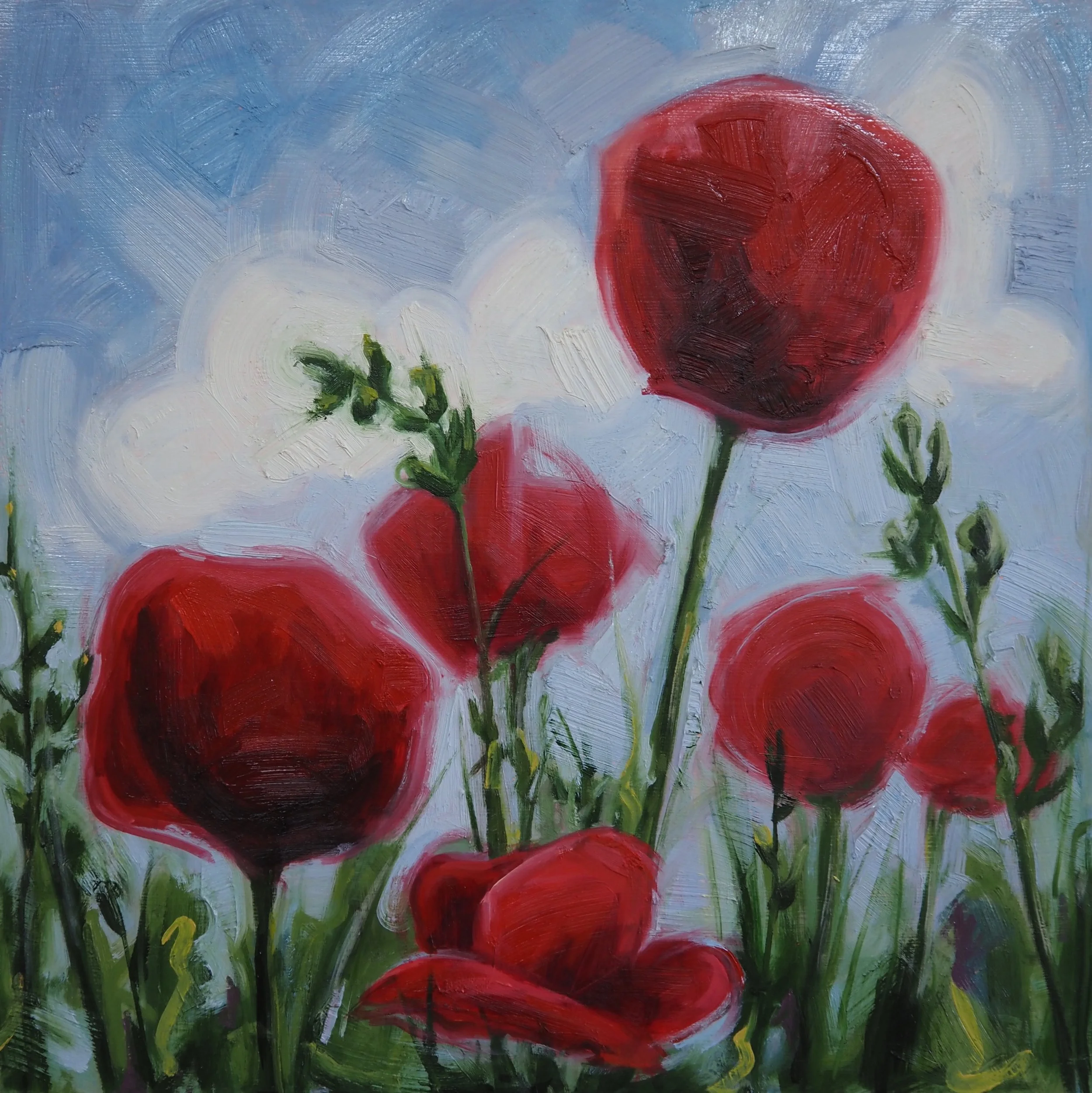Poppies. 20x20. Oil on Panel, 2026