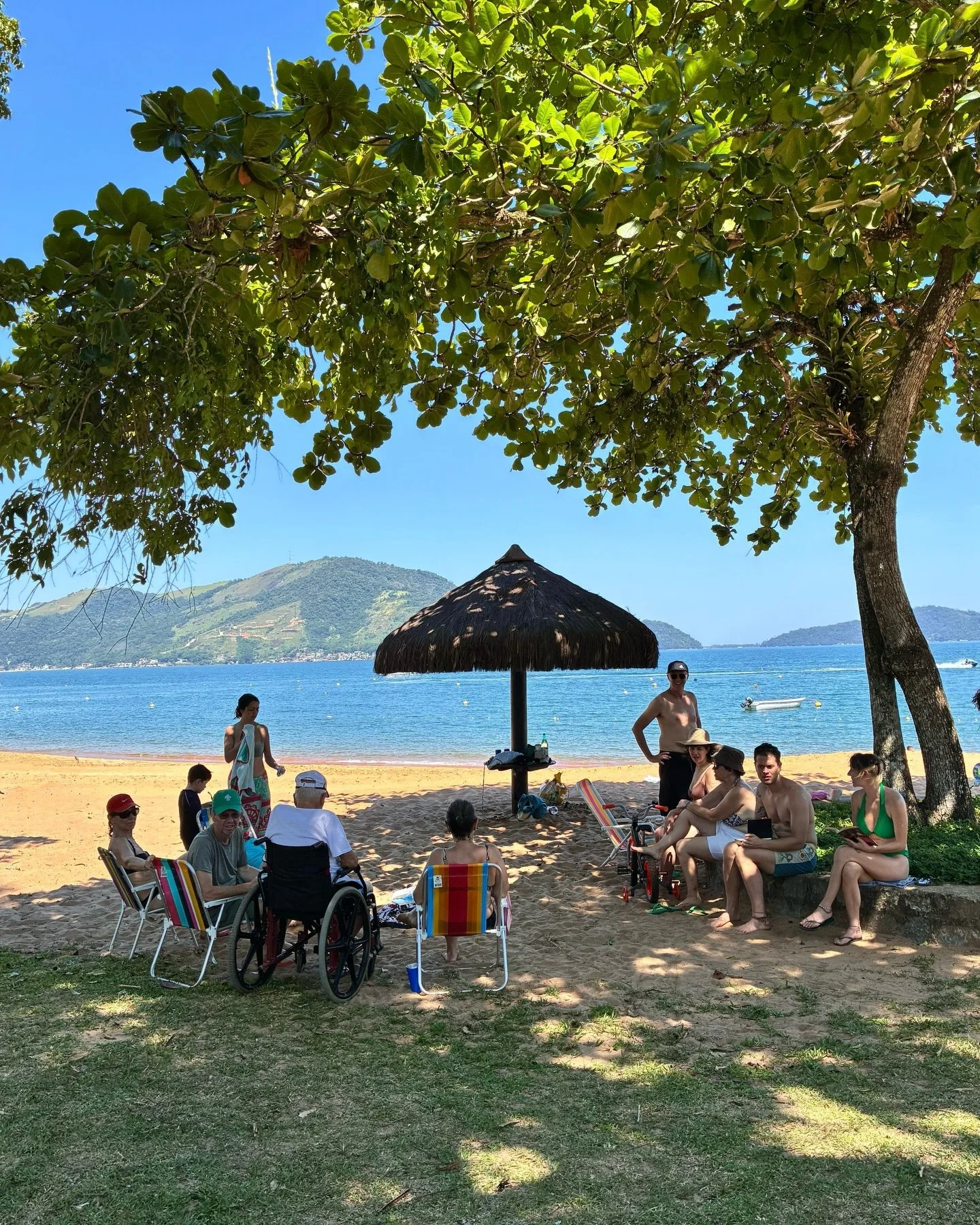 Tropical Jewish Christmas