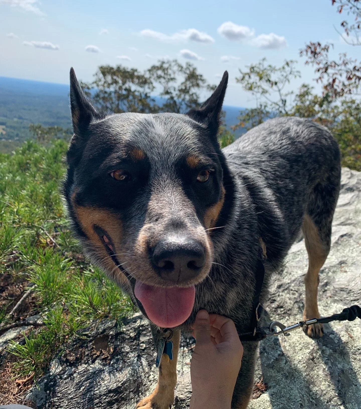 The Dude Sztajn-May passed forward into the incomprehensible this past weekend, leaving quite a wake behind him. I don&rsquo;t quite know what to say yet, except that he made my life better. He was the best shitty boy ever, he was weird in the most d