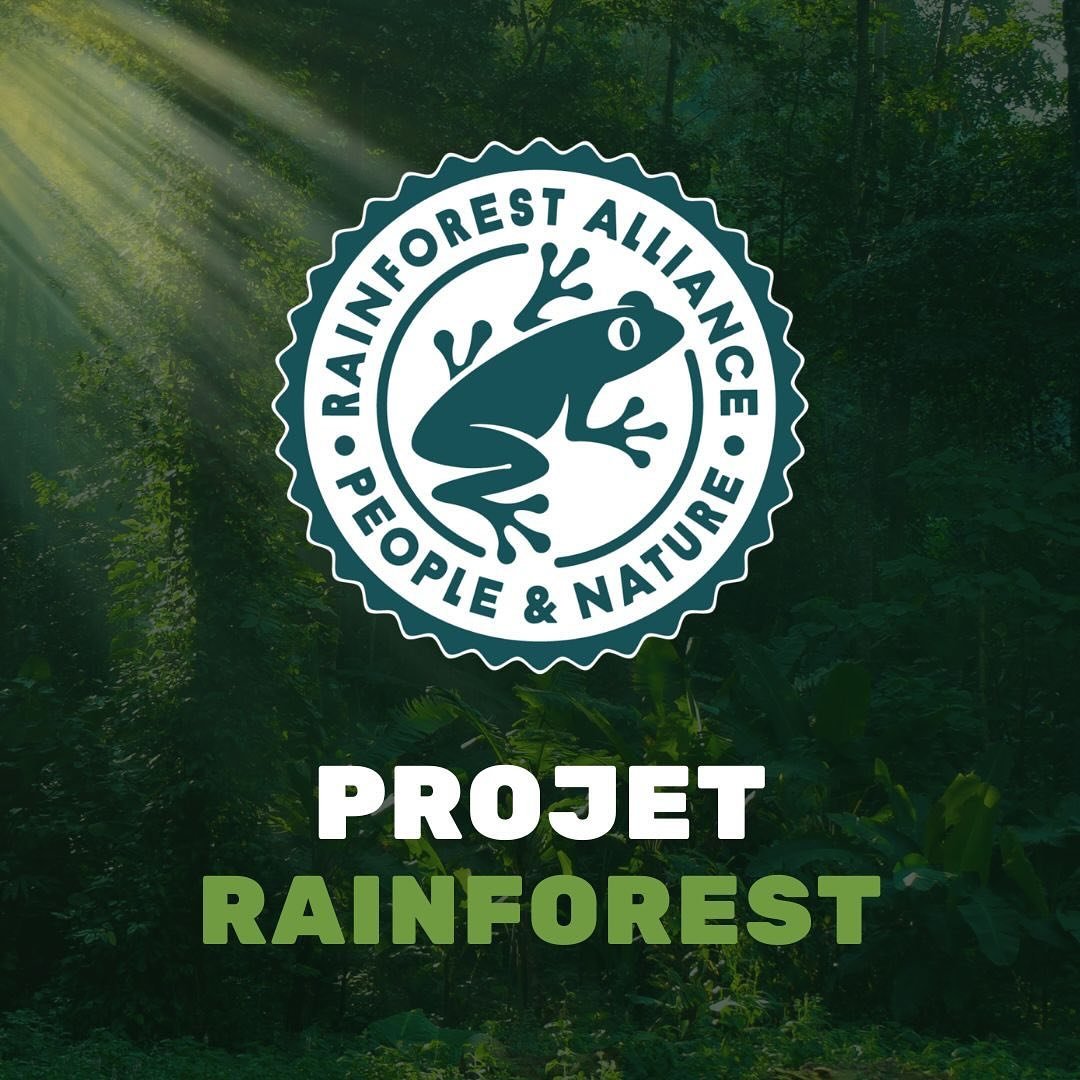 🐸🌱Votre caf&eacute; du Br&eacute;sil est certifi&eacute; Rainforest Alliance ! ☕️🇧🇷

🌿🦥 Rainforest Alliance est une ONG &oelig;uvrant pour la protection des for&ecirc;ts, la lutte contre le changement climatique et la promotion des droits humai