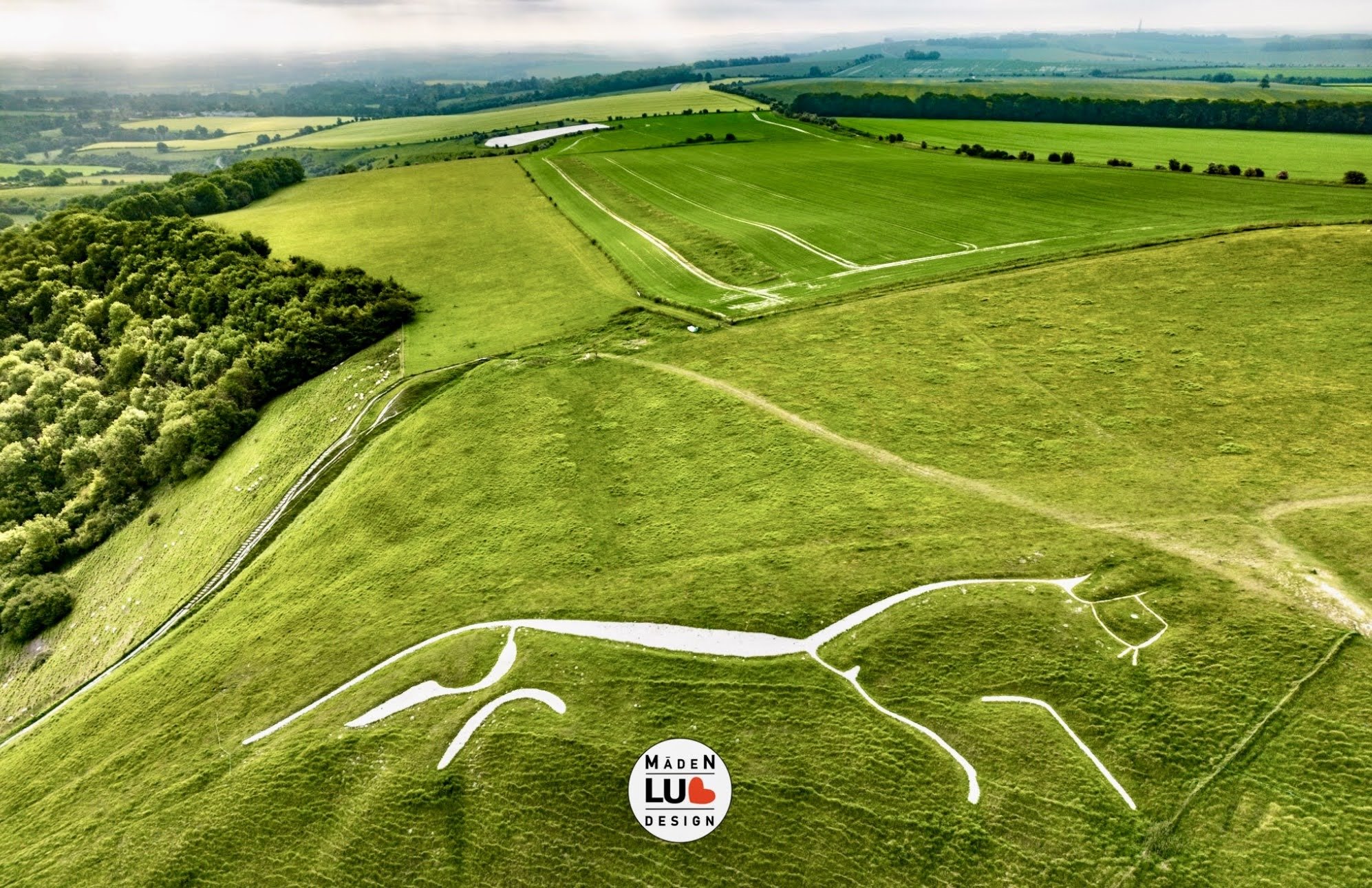 WHite_Horse_Hill_UK.jpg