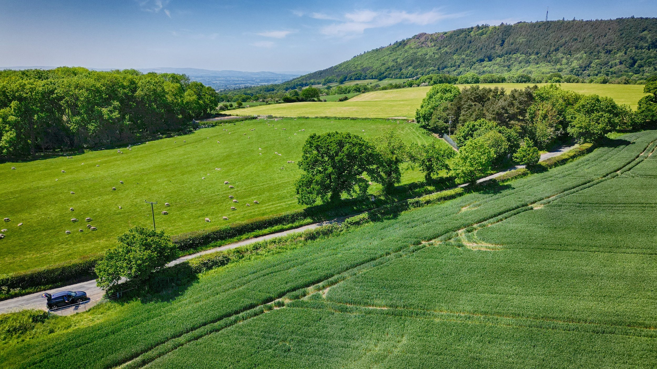 dji_fly_20230603_071246_791_1685794596910_aeb-HDR.jpg