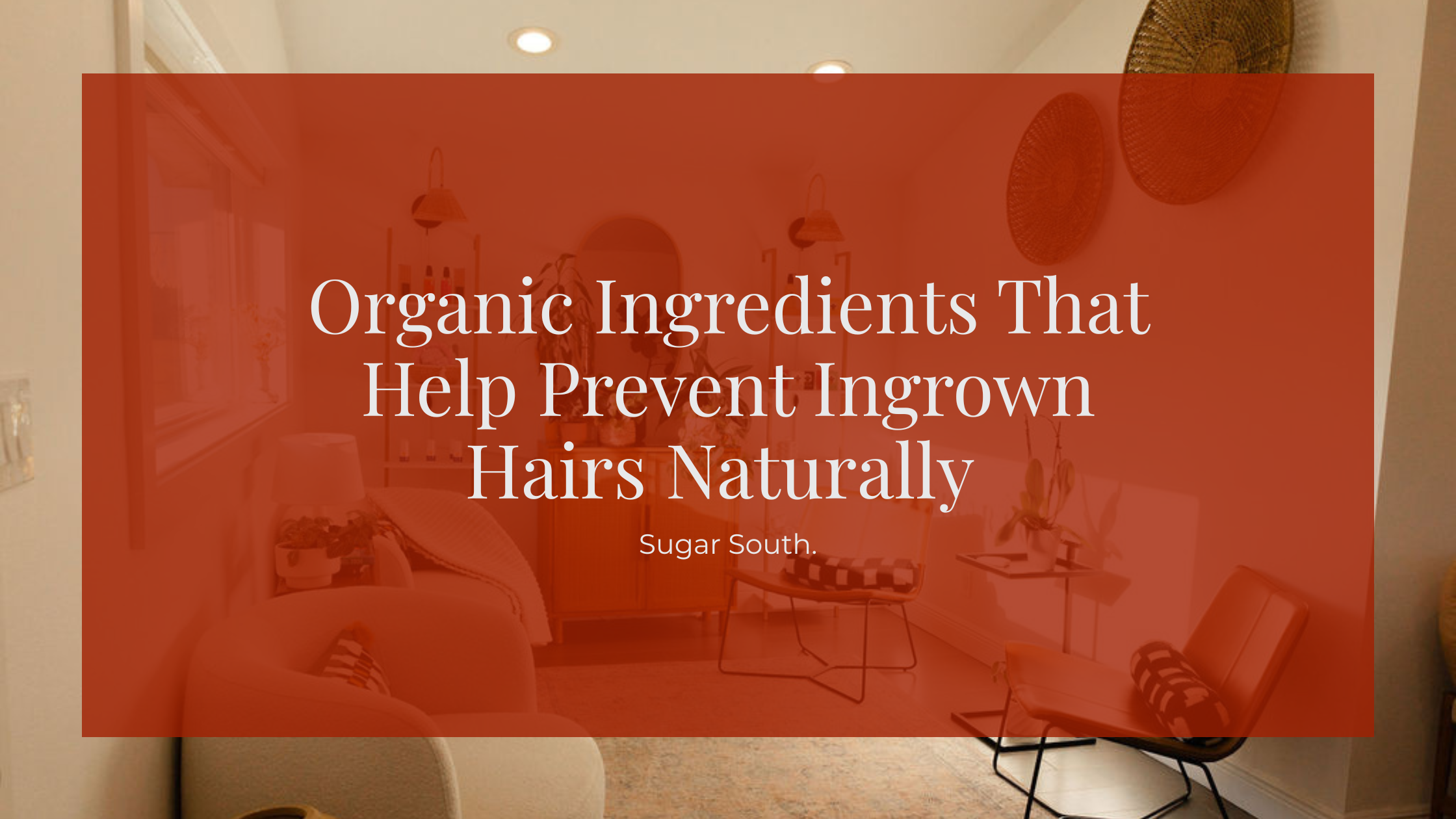 Organic Ingredients That Help Prevent Ingrown Hairs Naturally