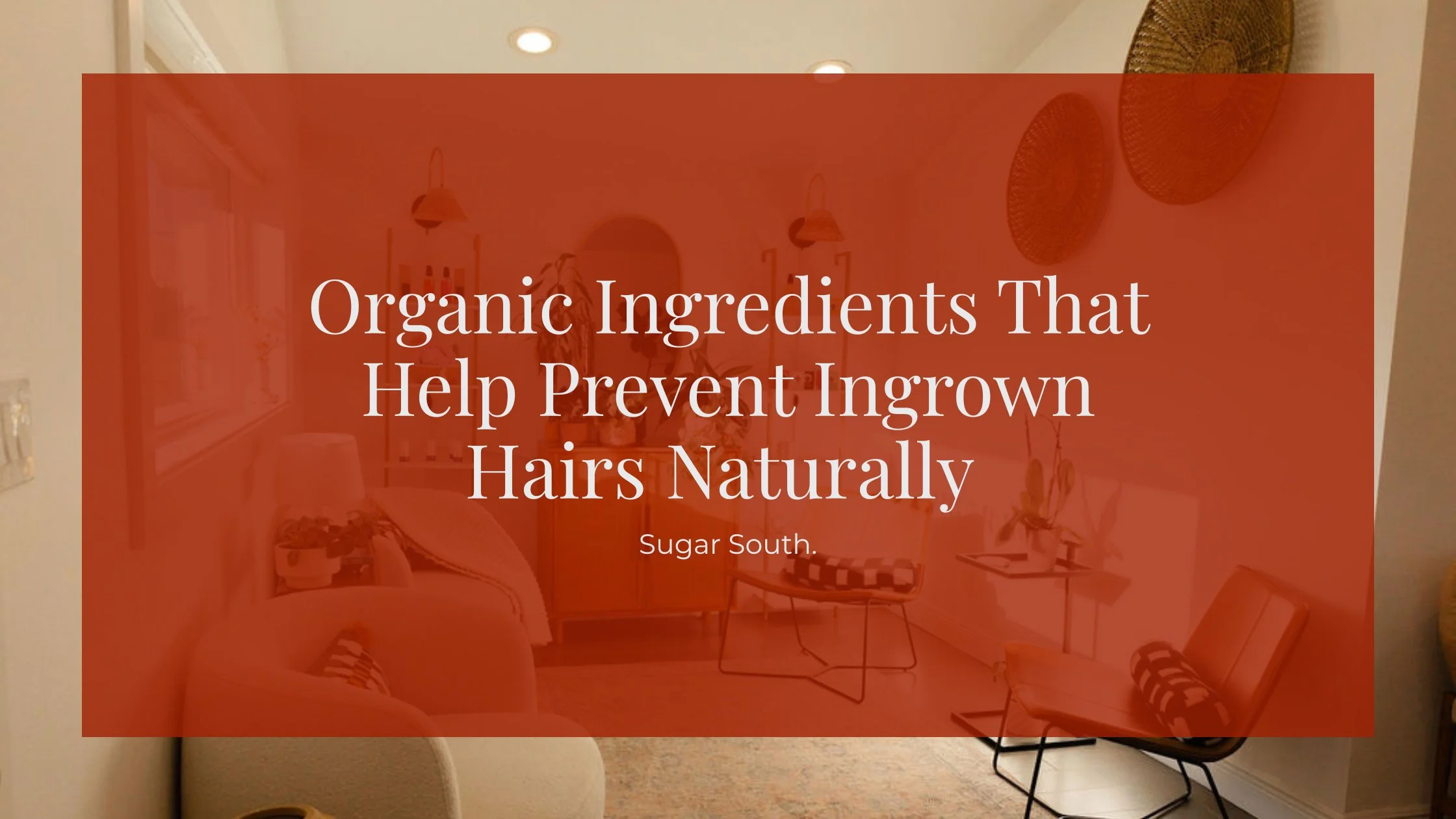 Organic Ingredients That Help Prevent Ingrown Hairs Naturally