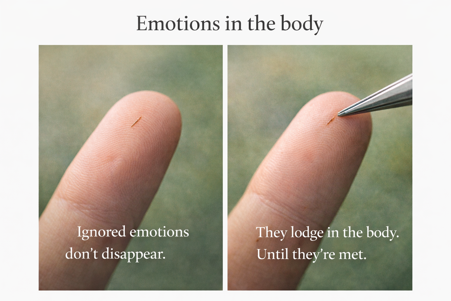 The Body Knows What the Mind Avoids