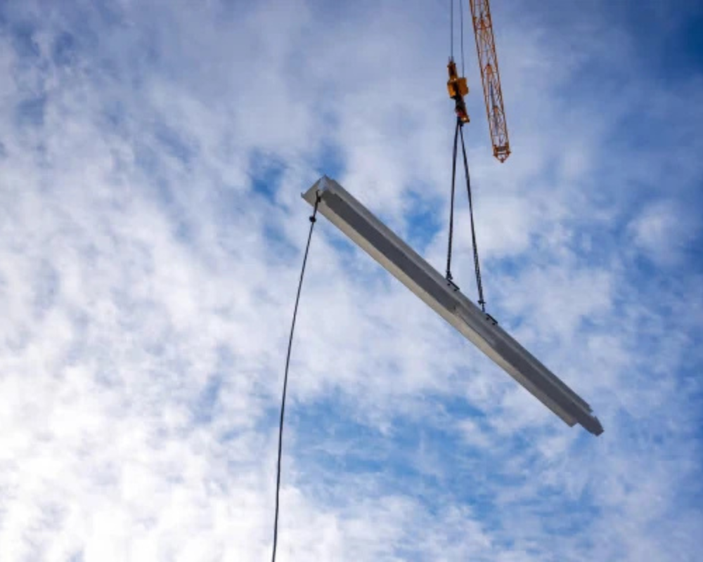 Untitled design (24).png