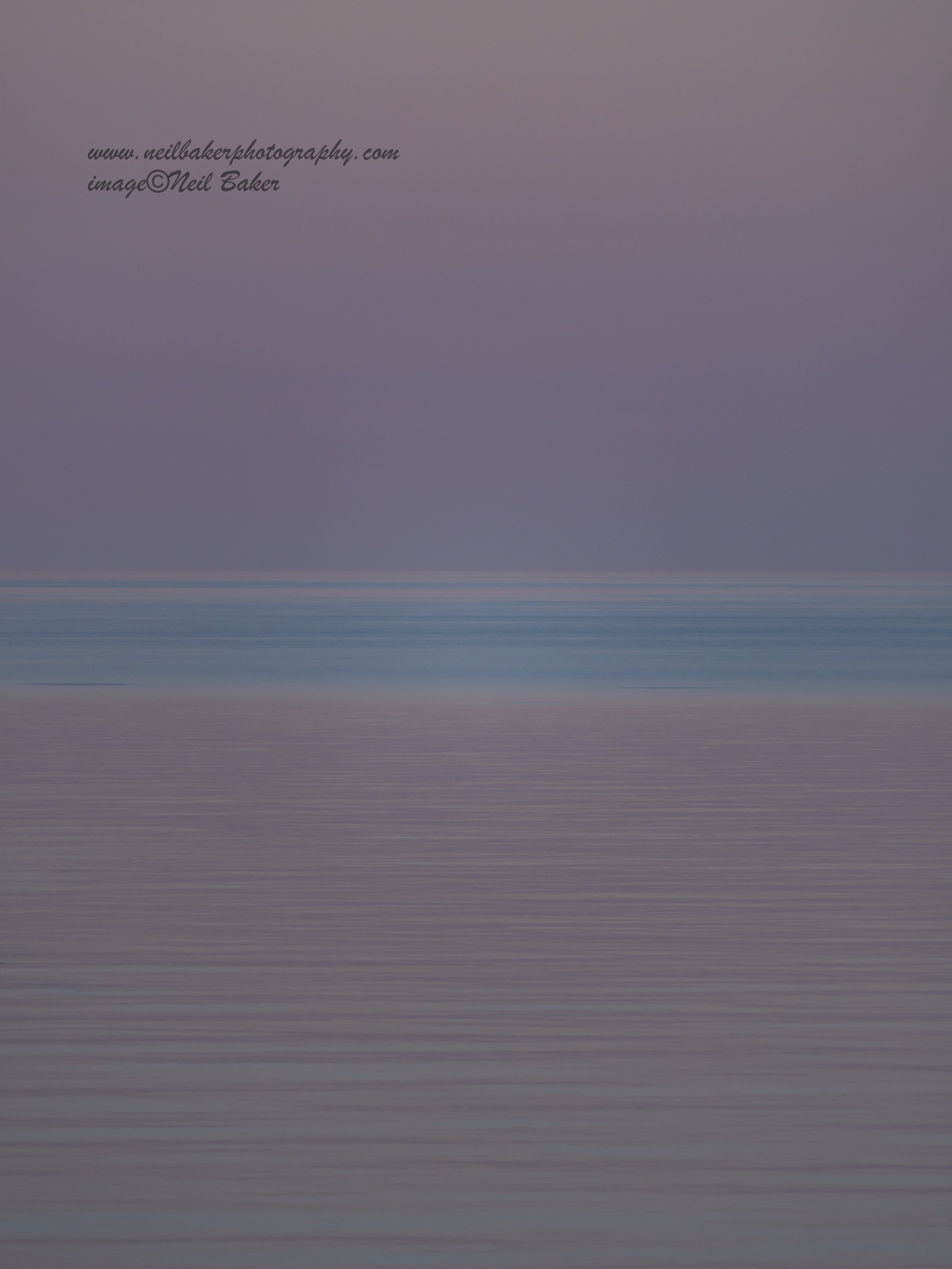 Seaton in Mauve.jpg