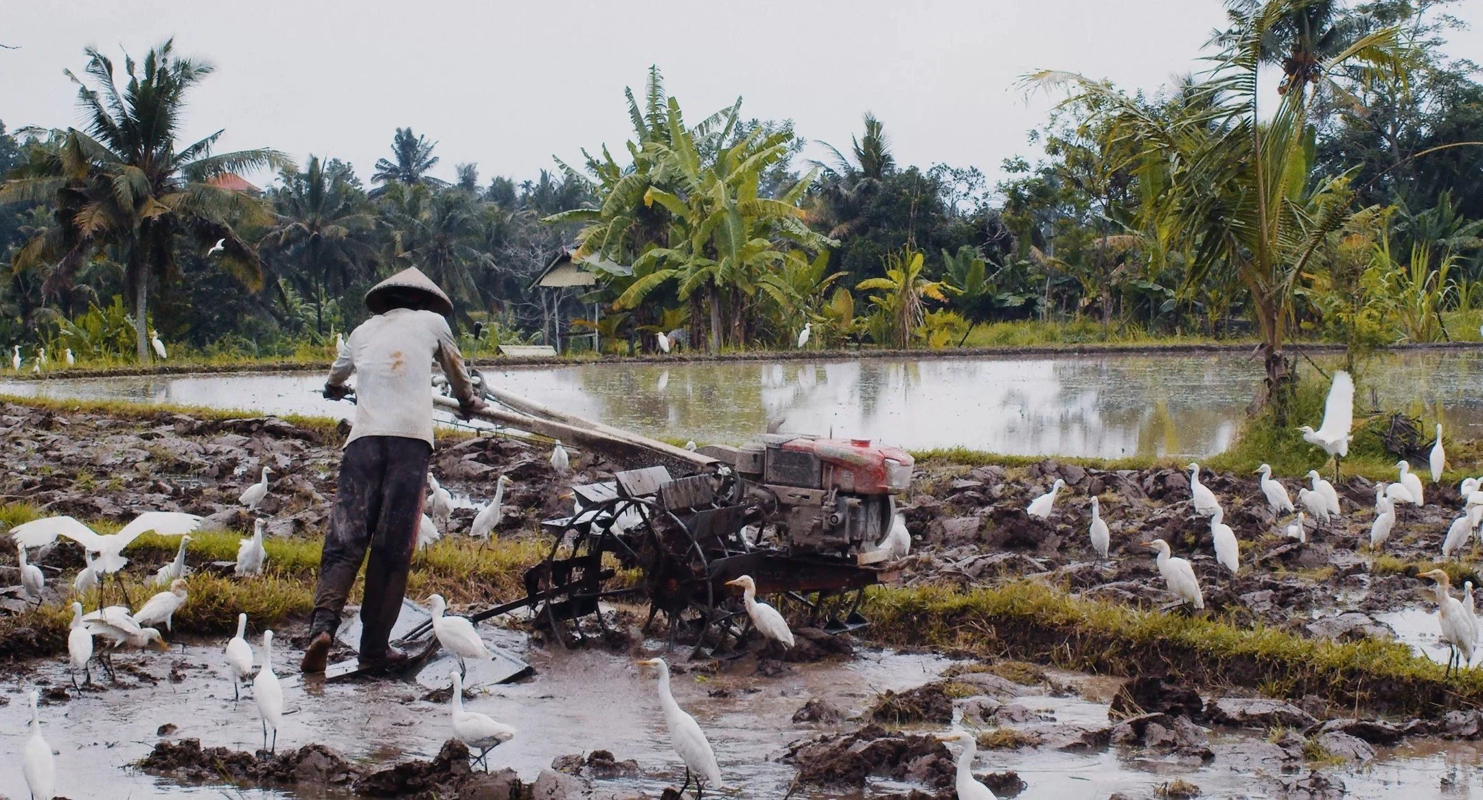 Mixed frames of vivid memories 💭 
-
#cinematicvideo #indonesia #travel