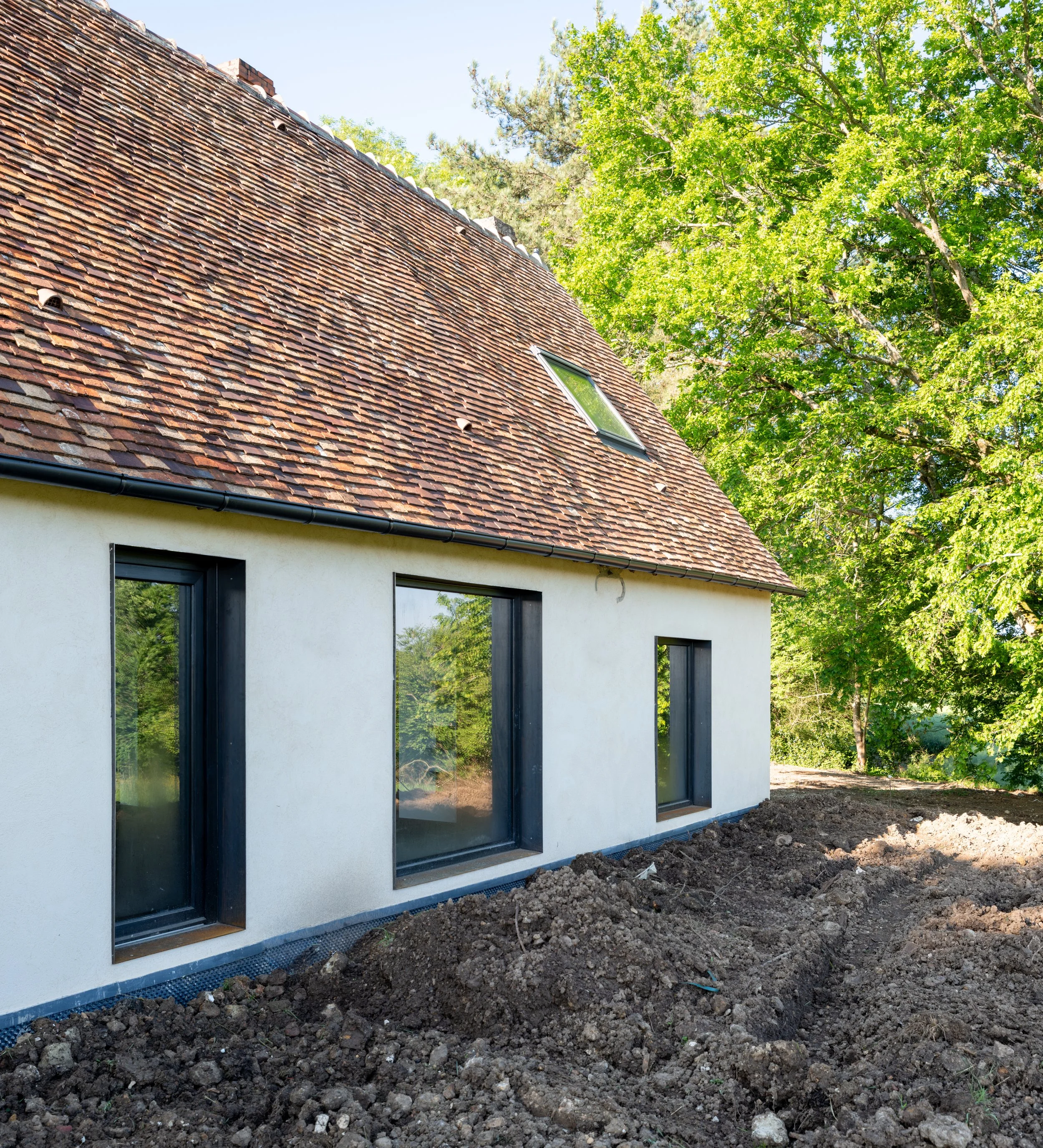 DSCF0361.jpg