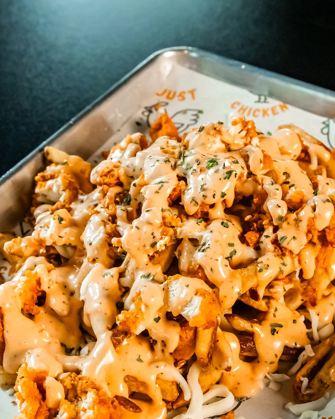 web-just-chicken-loaded-fries-2025.04.29_JustChicken_Selects-35 copy.jpg