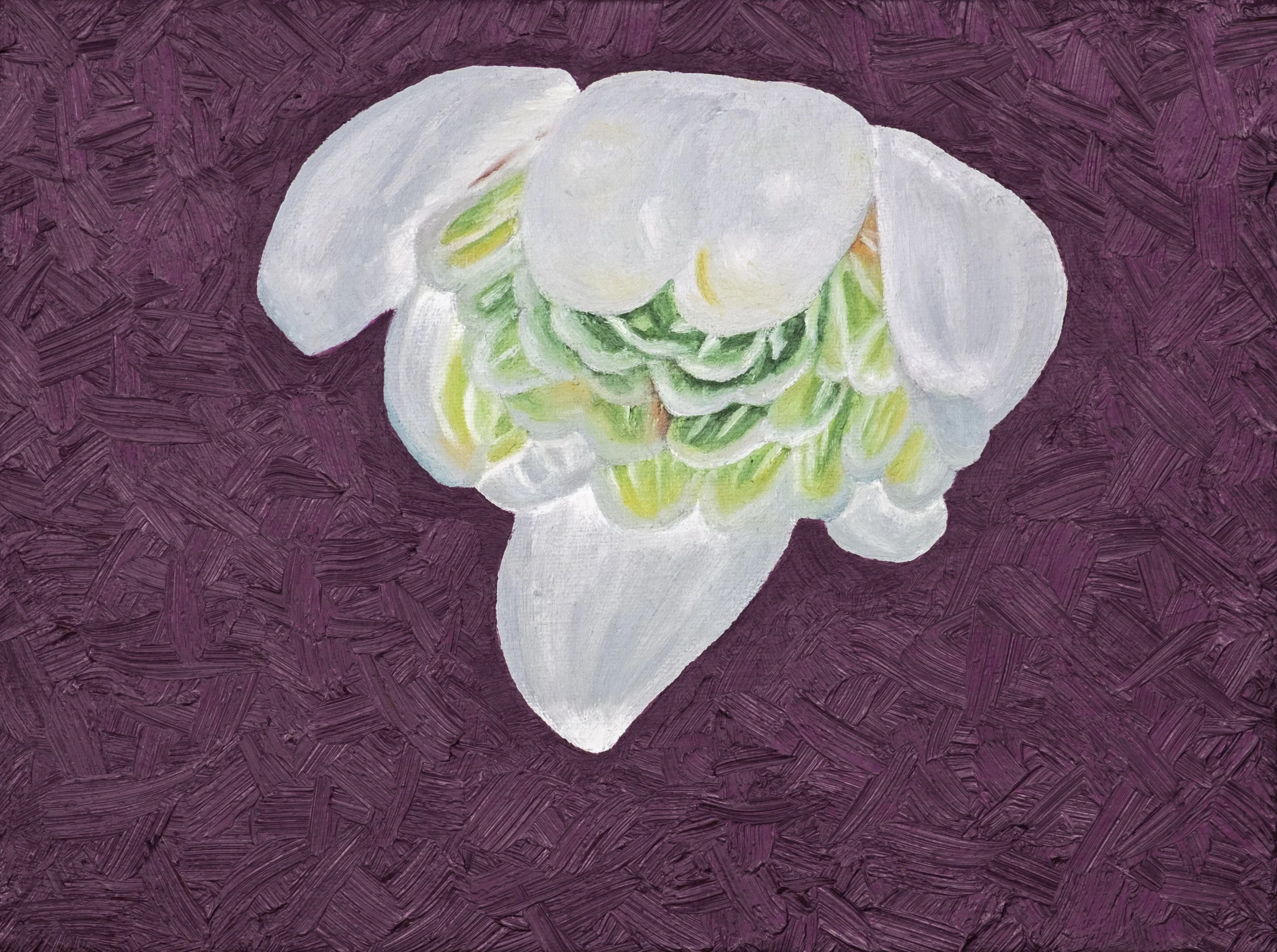 PurpGreenWhite_VF.jpg