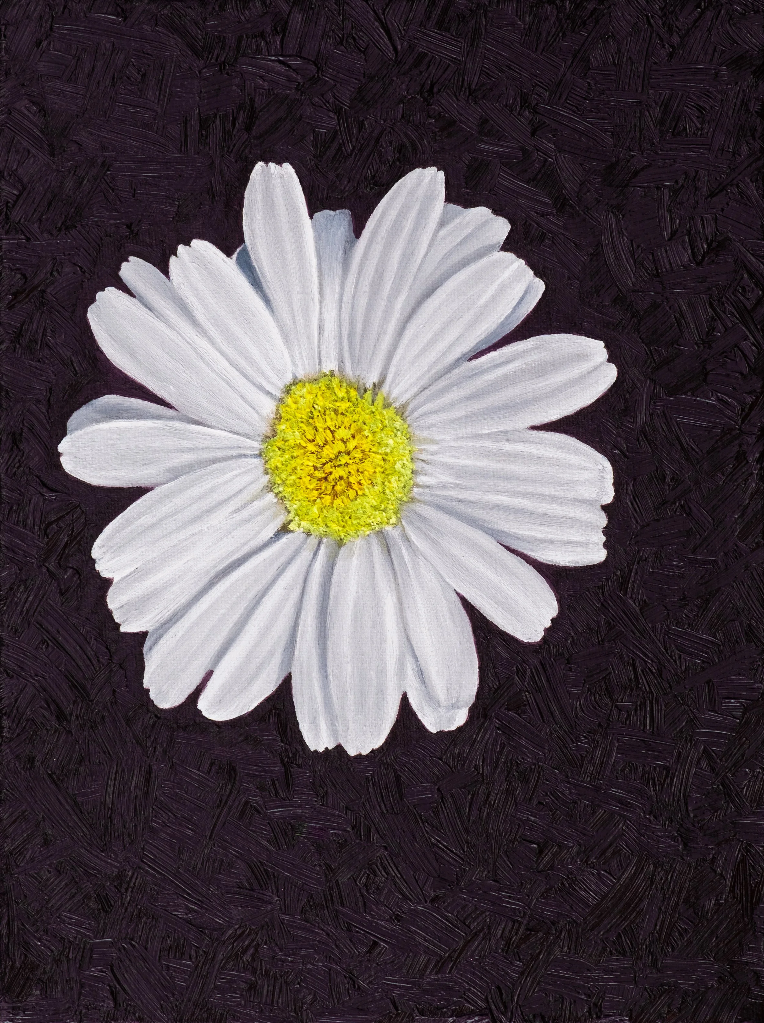 Daisy2_VF.jpg