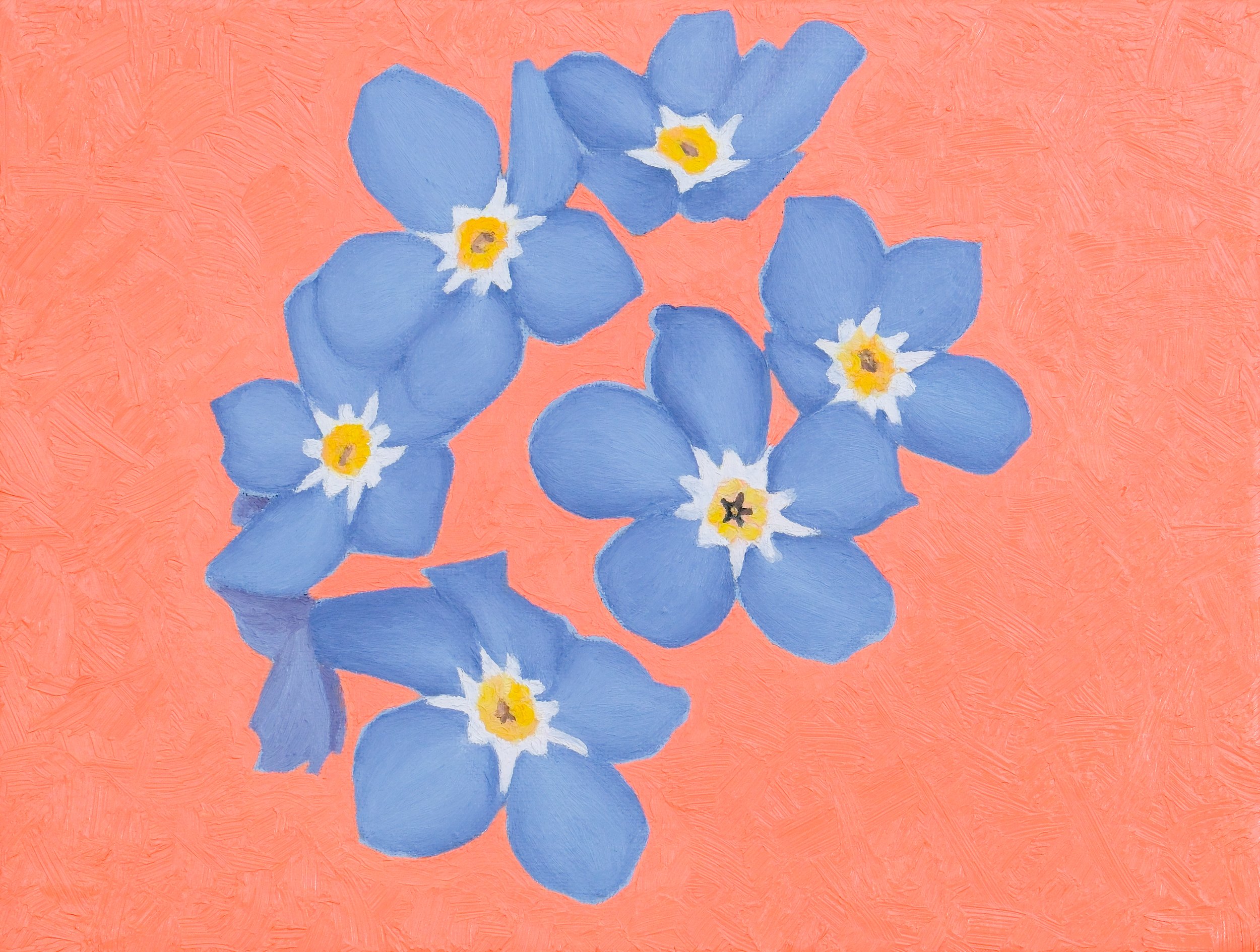 forget-me-nots.jpg