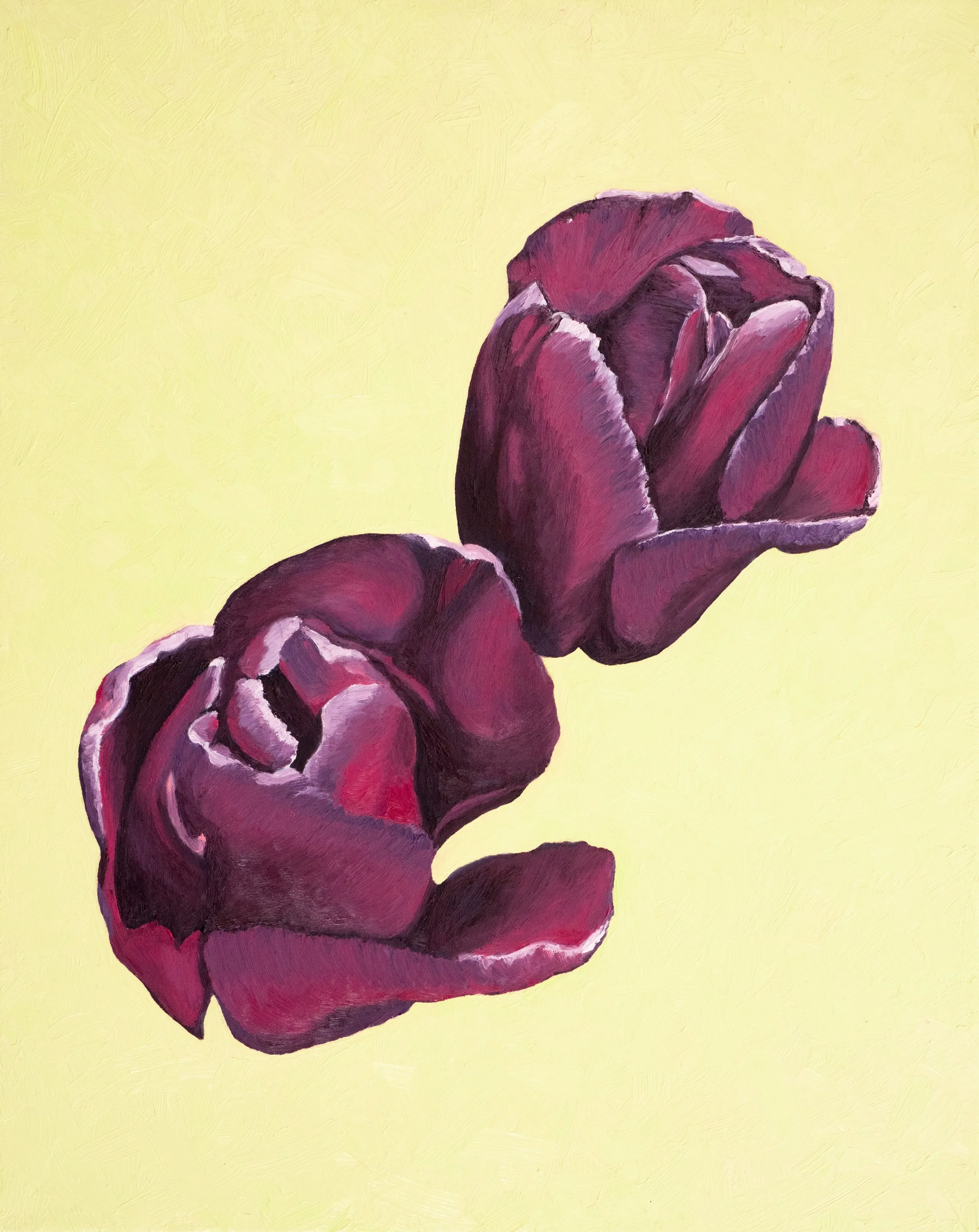 purple-garden-tulip.jpg