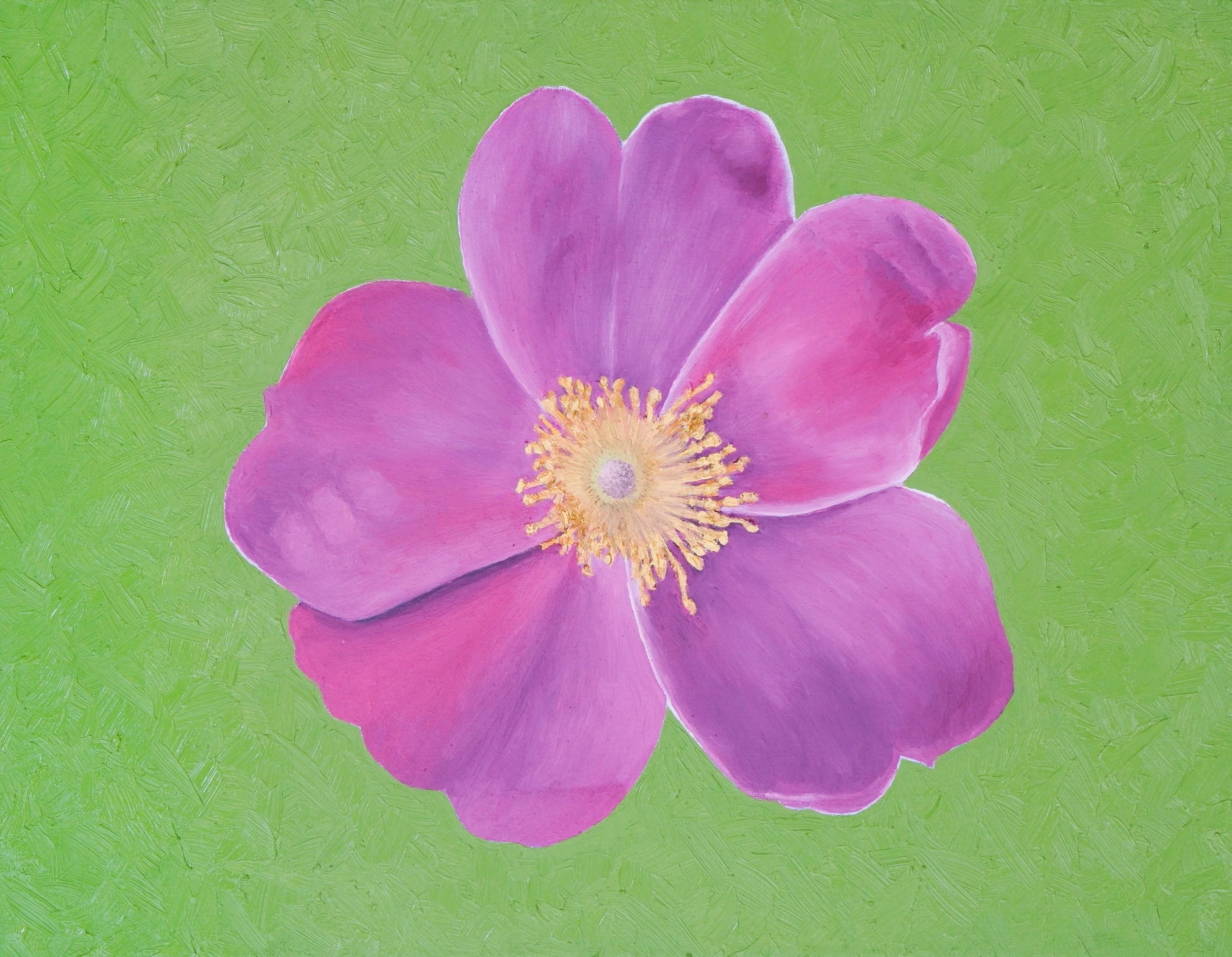 swamp-rose-.jpg