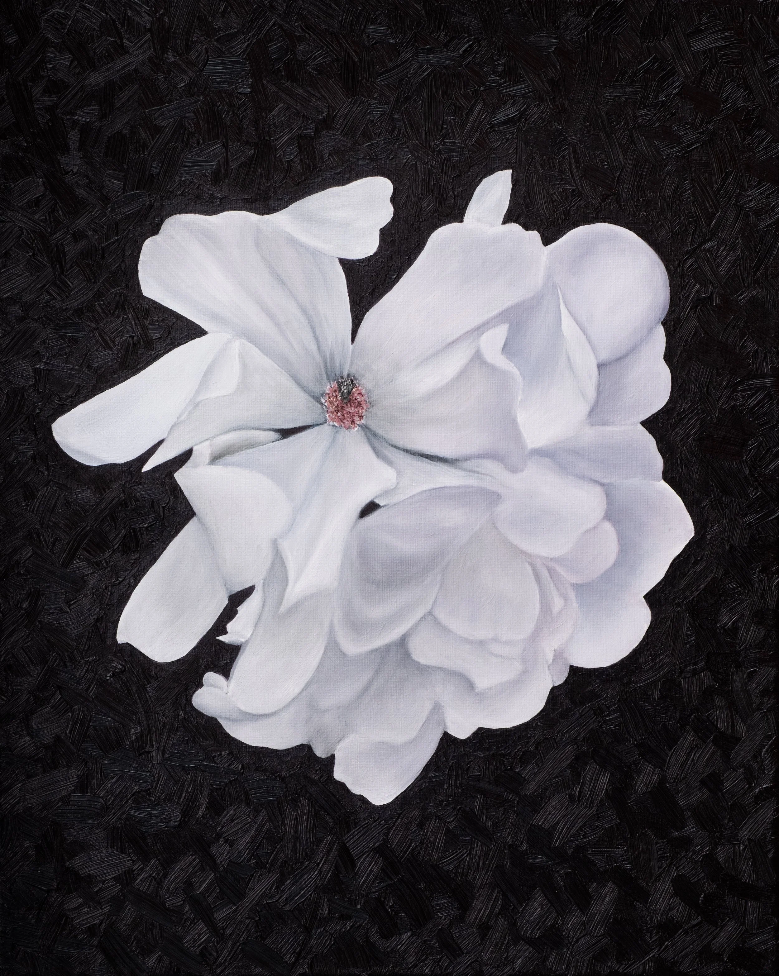 Magnolia