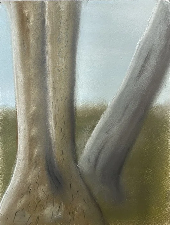 Hair marks front tree copy.jpg
