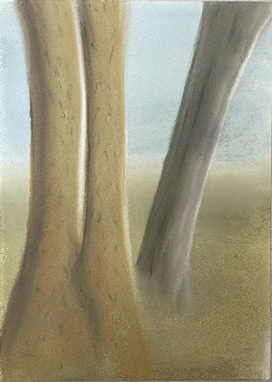2 trees grey trunk copy.jpg