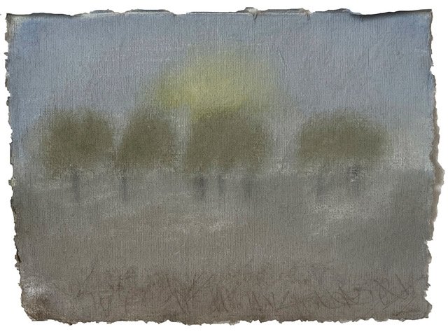 7 trees and glow.jpeg