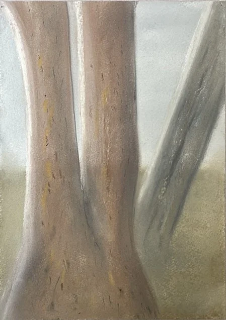 Gold marks on trunk copy.jpg