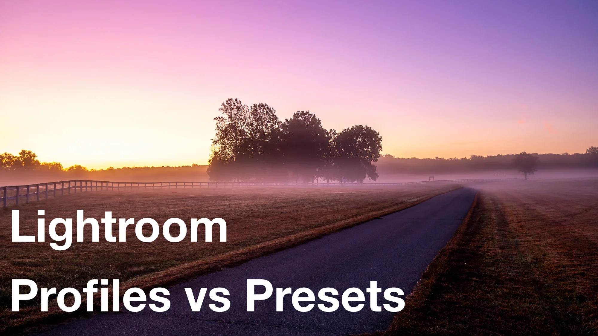 Lightroom Profiles vs. Presets: Understanding the Differences and When to Use Each