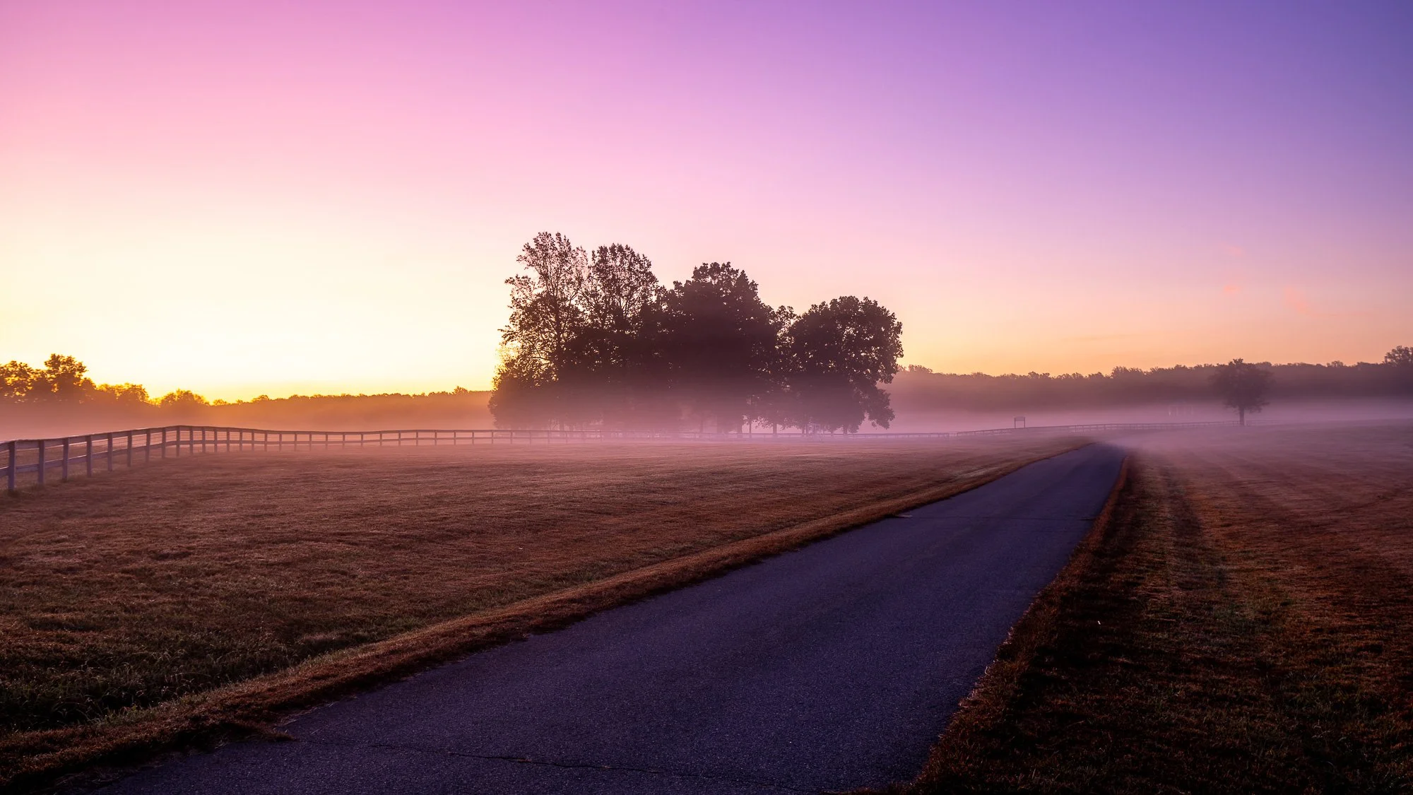 Mastering Profiles &amp; Presets in Lightroom Classic