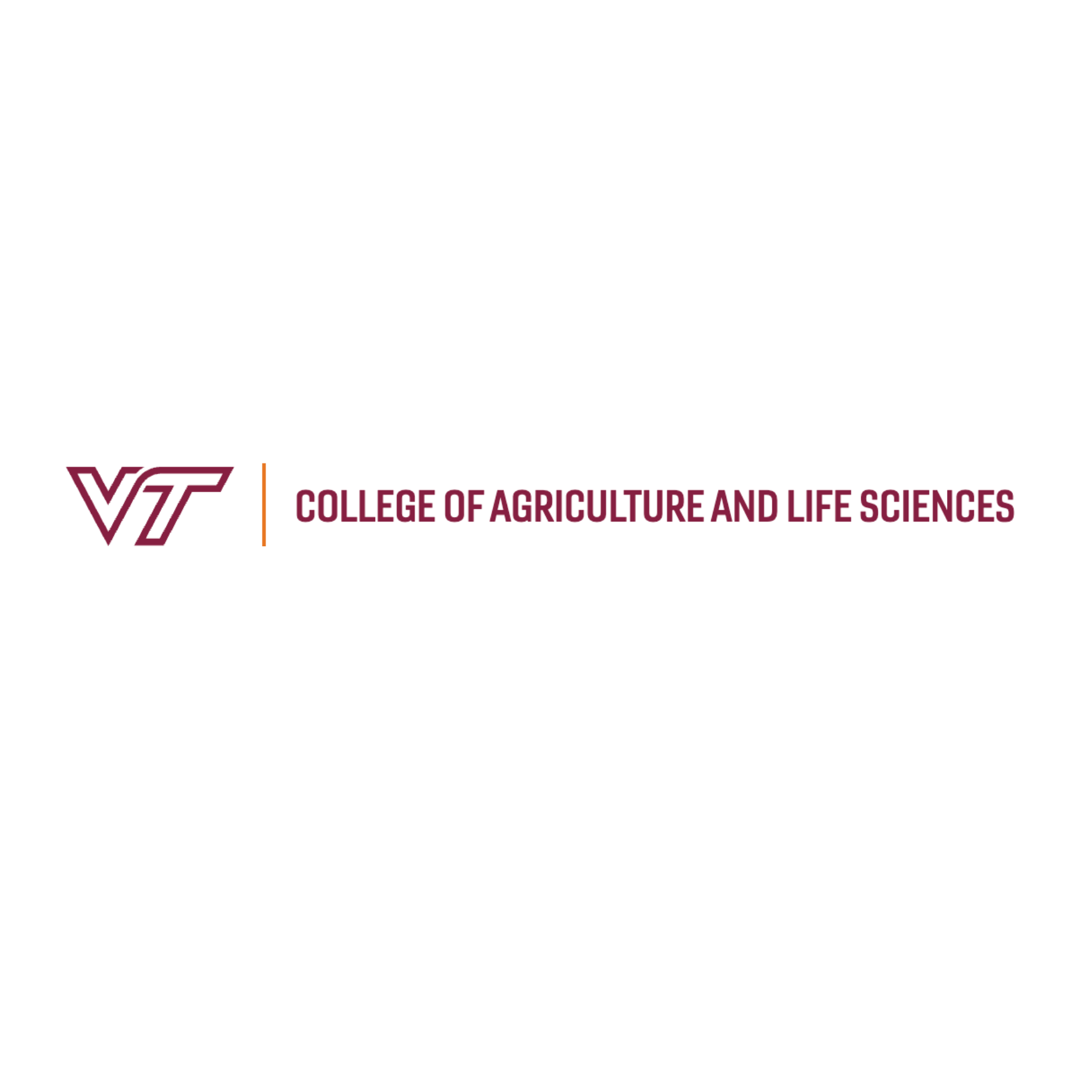 Partner - VT.png