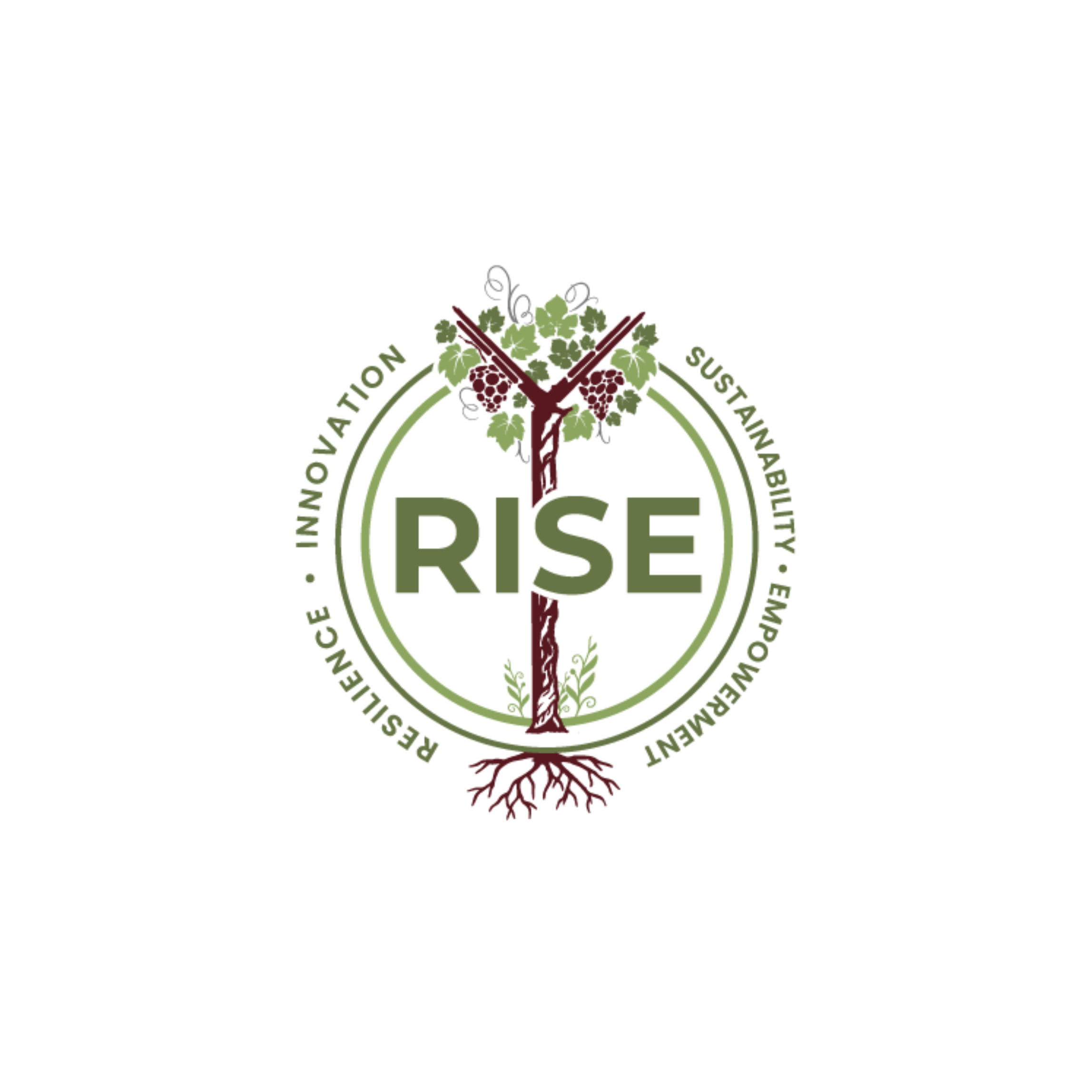 Partner - Napa Rise.png
