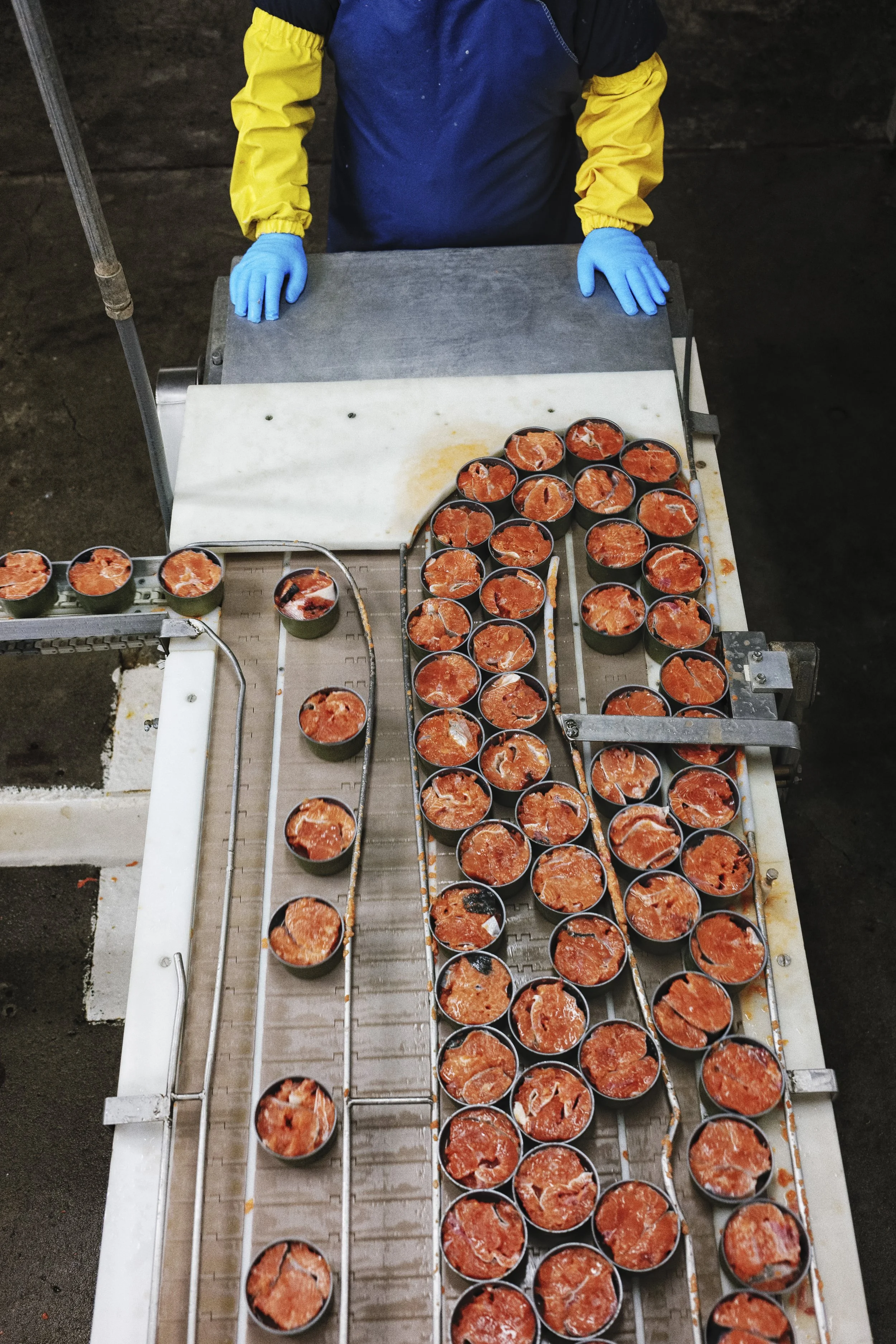 The Last Salmon_049.jpg