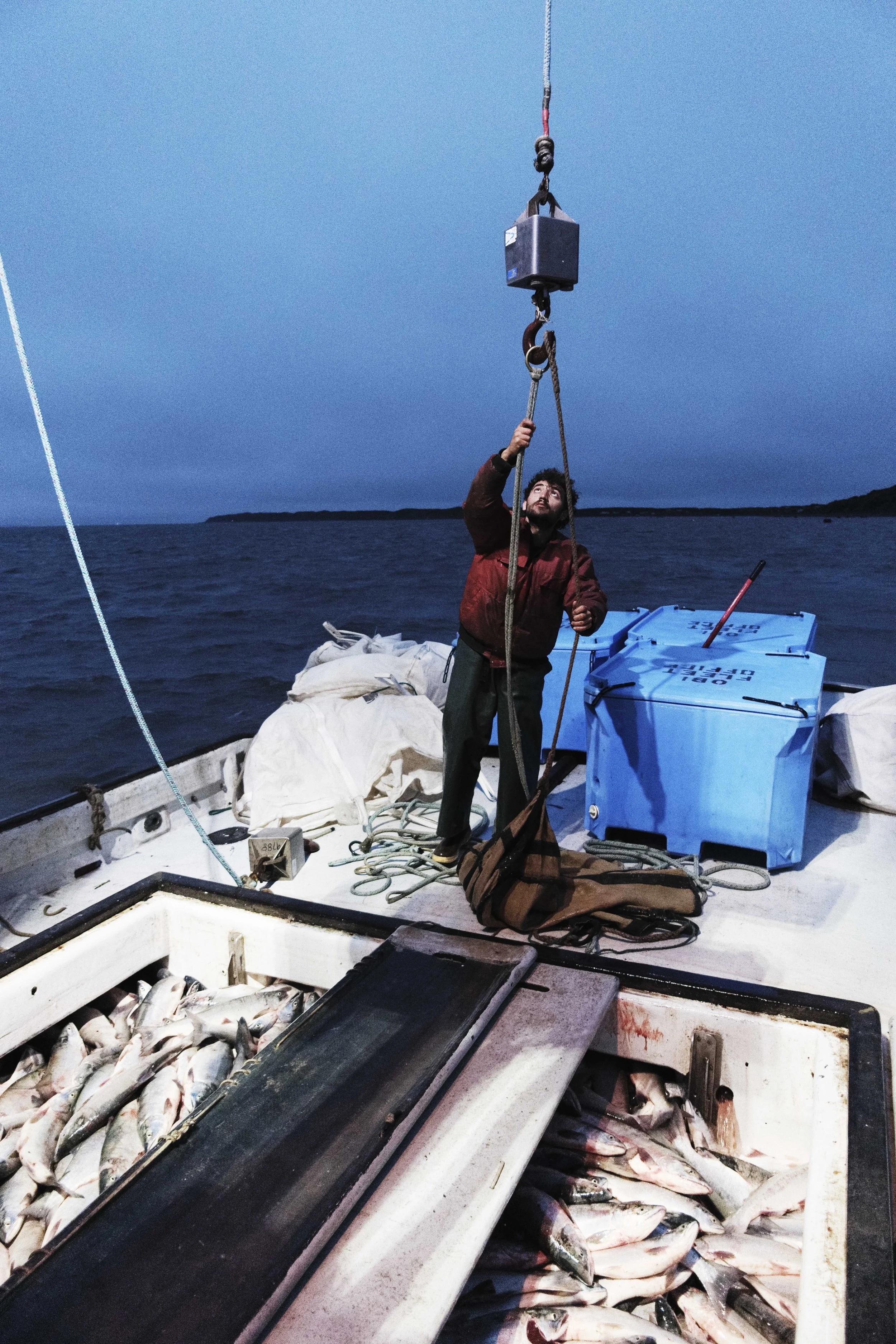 Alaska is Salmon_13.jpg