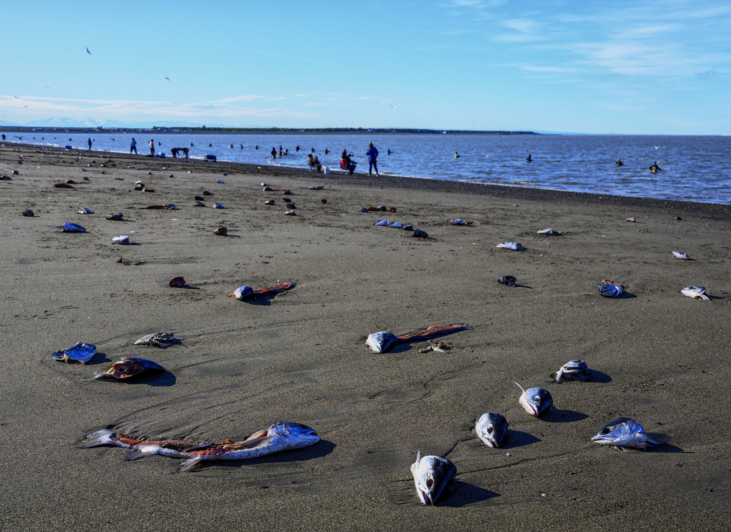 The Last Salmon_066.jpg