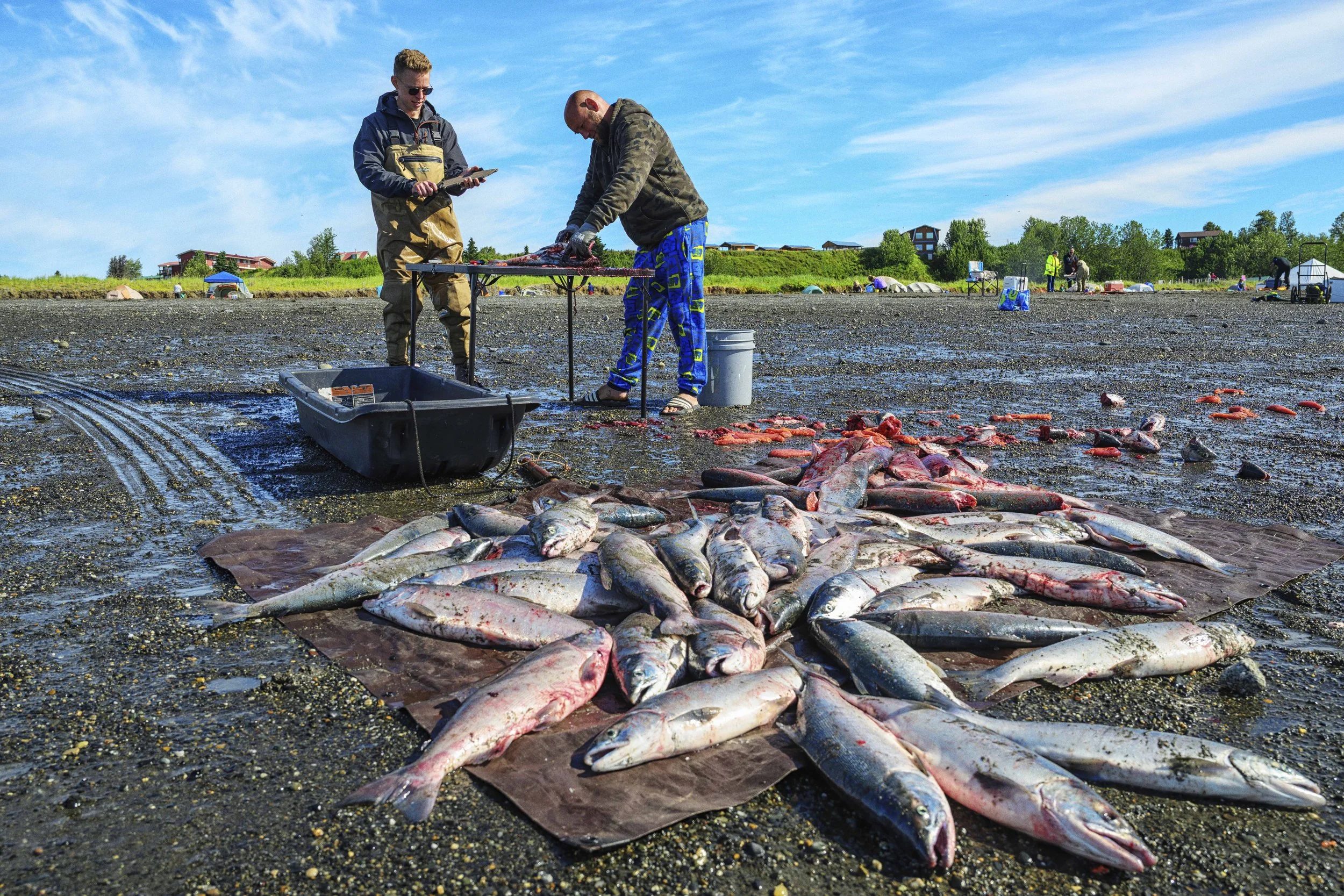 Alaska is Salmon_14.jpg