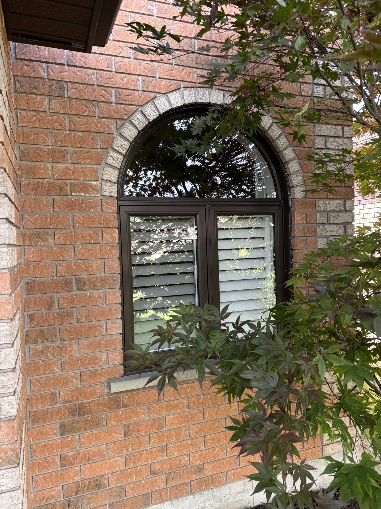 09-30-2025_shapedwindow_after.JPEG